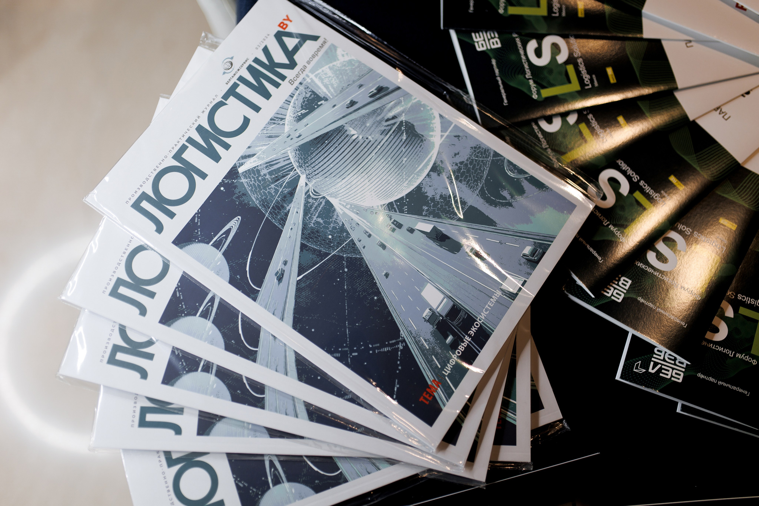 LSF. Свадебный фотограф Каледич Тимофей