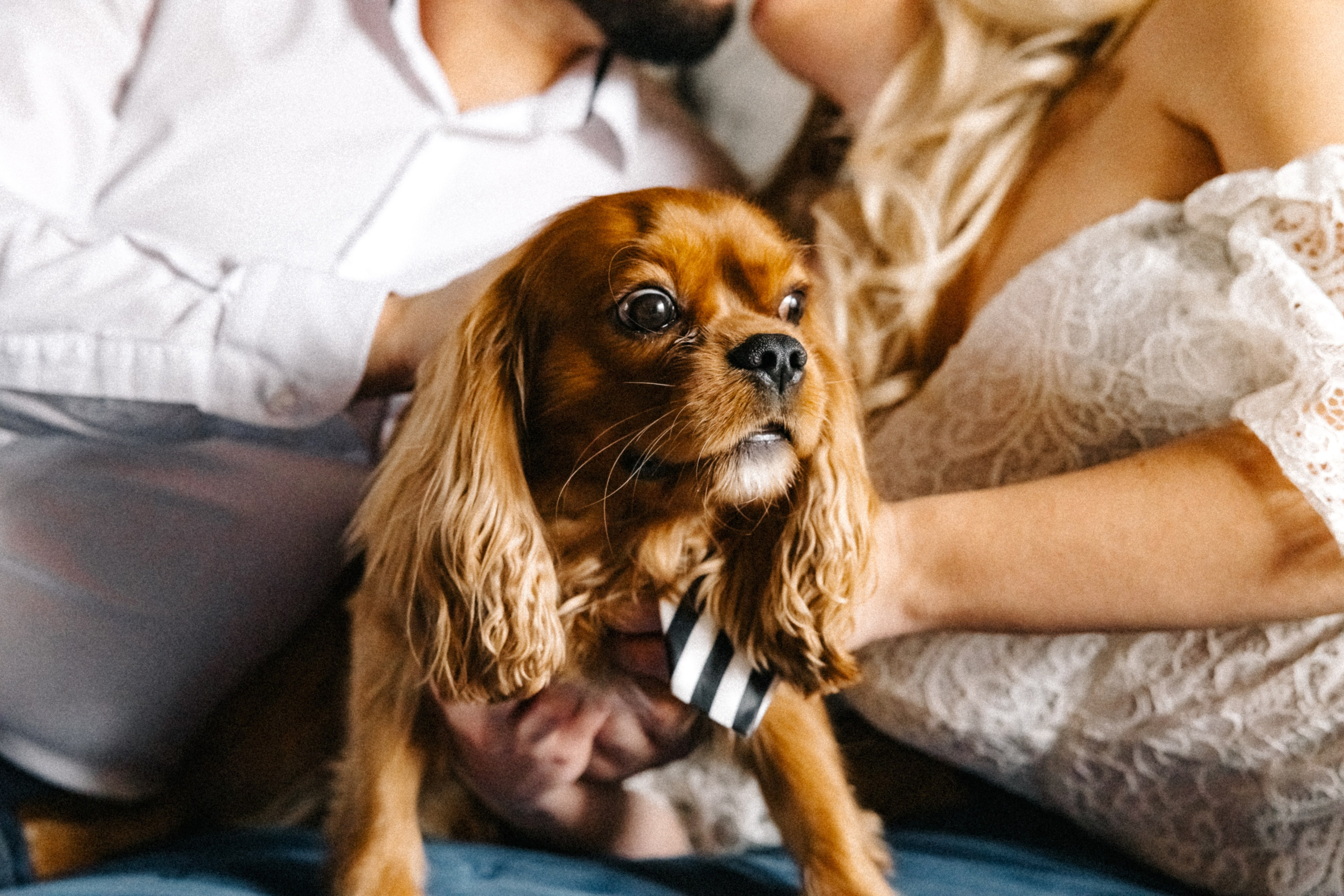 Годеж. Фотограф Ирина Йотова