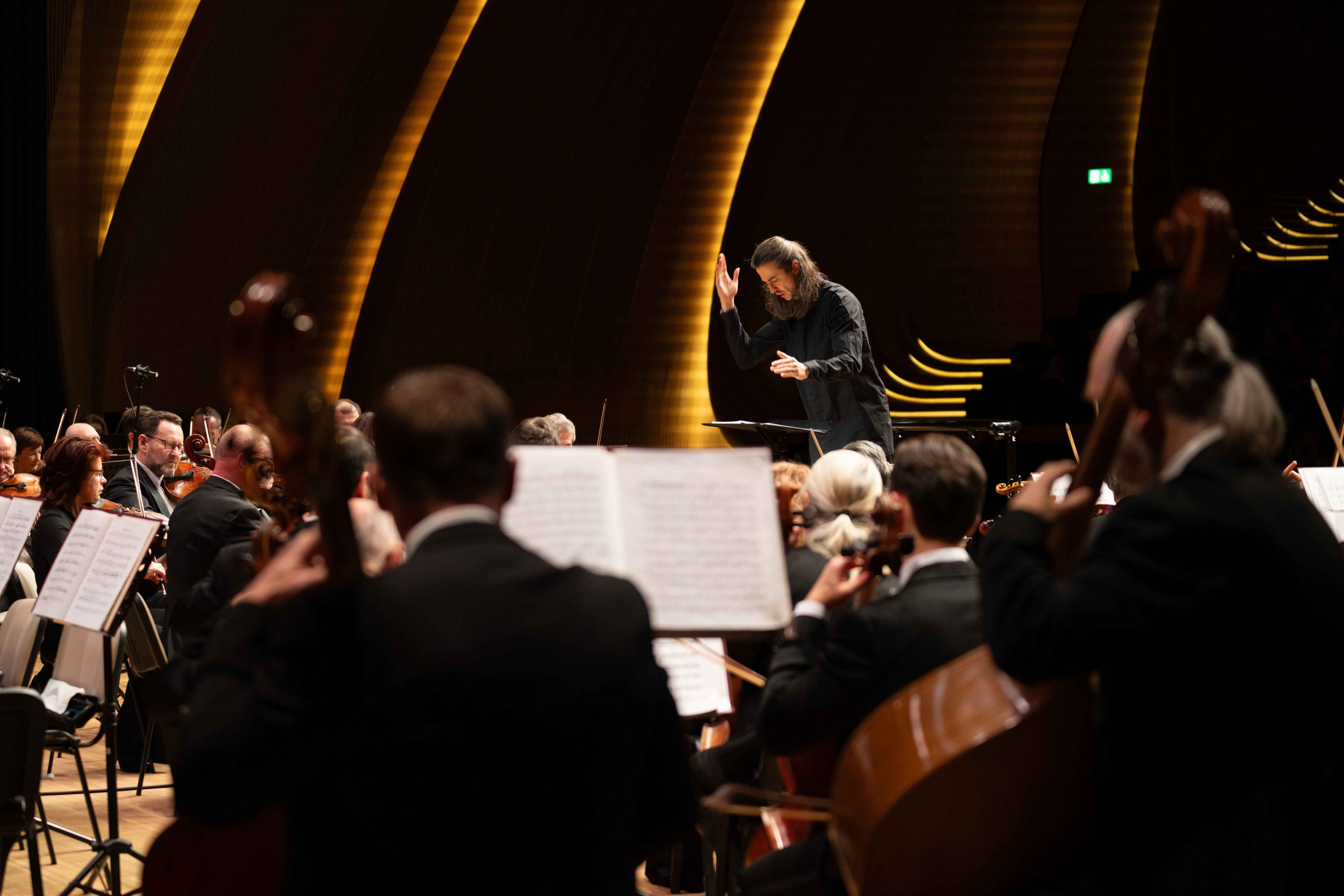 The Tchaikovsky Academic Grand Symphony Orchestra in Baku. Wedding&Event photographer Ismail Rzayev in Baku