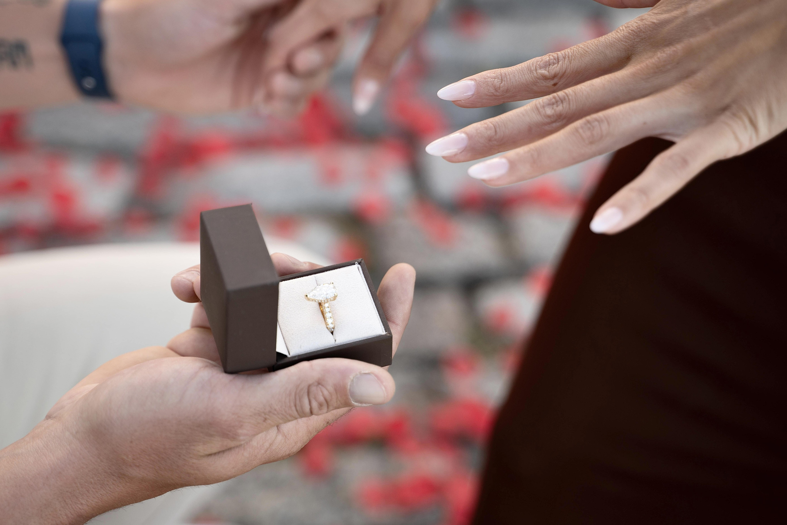 Engagement-miami. Stefanovich Photography | Miami, FL