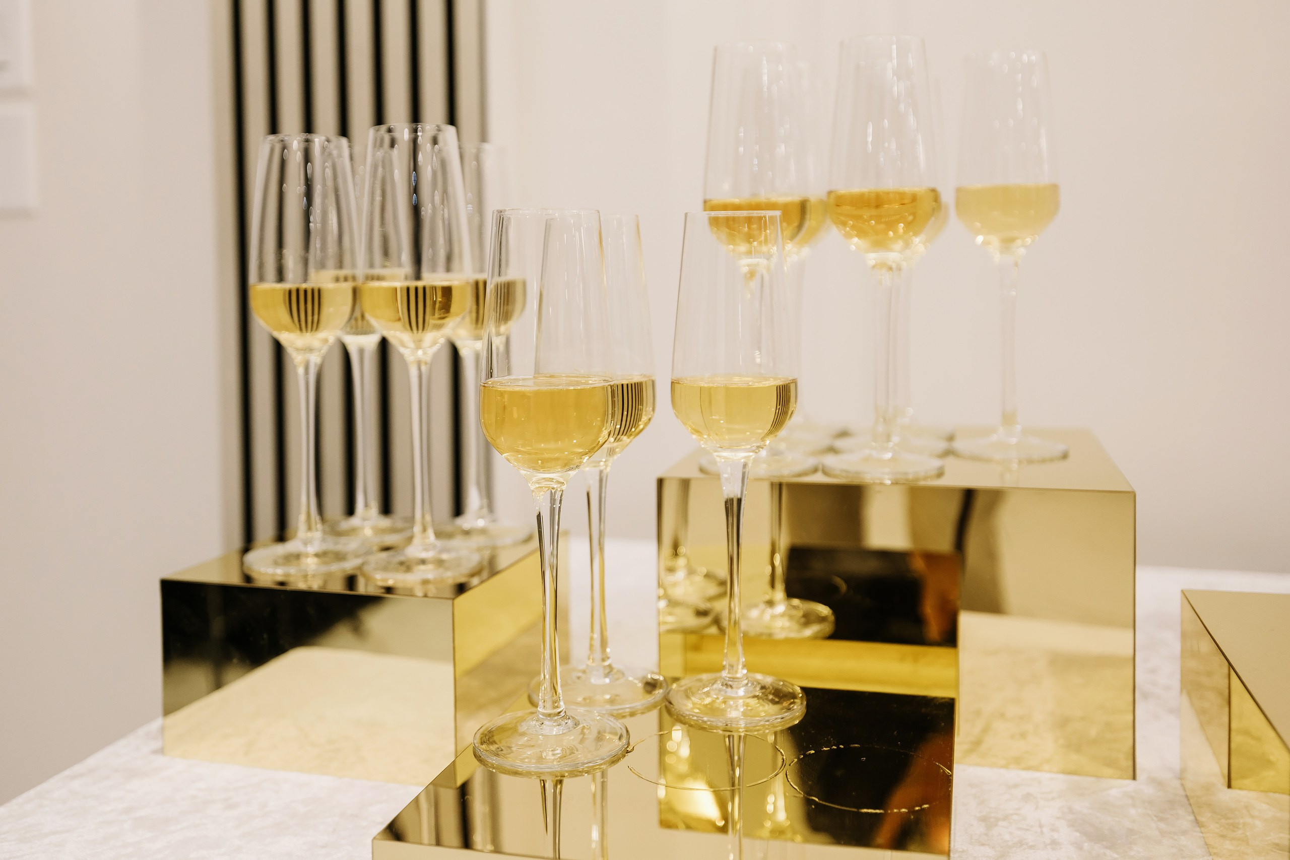 02.21.2025 Birthday Party. Wedding family event photographer in Chicago Nick Yushevich