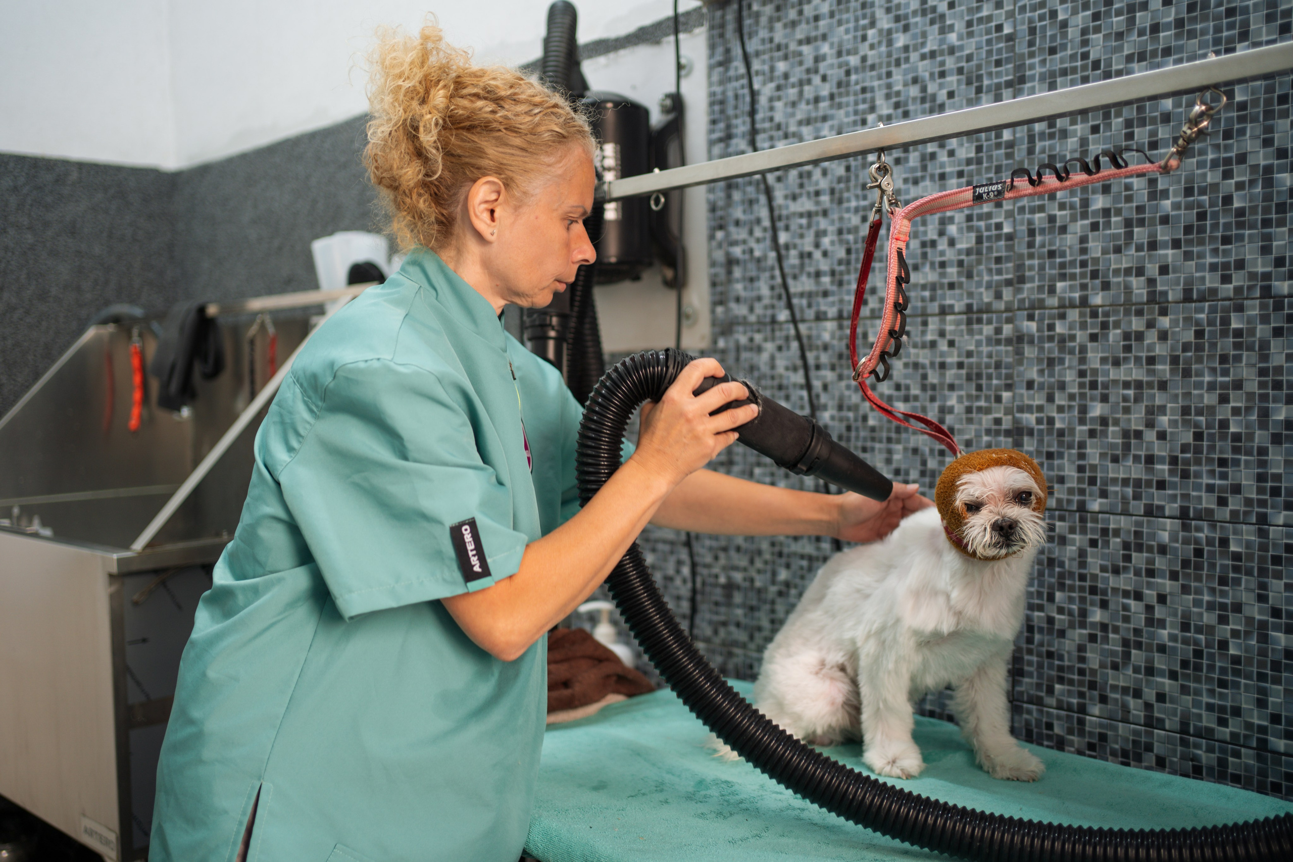 PetGroom Timisoara. Cozac Cristian Photographer
