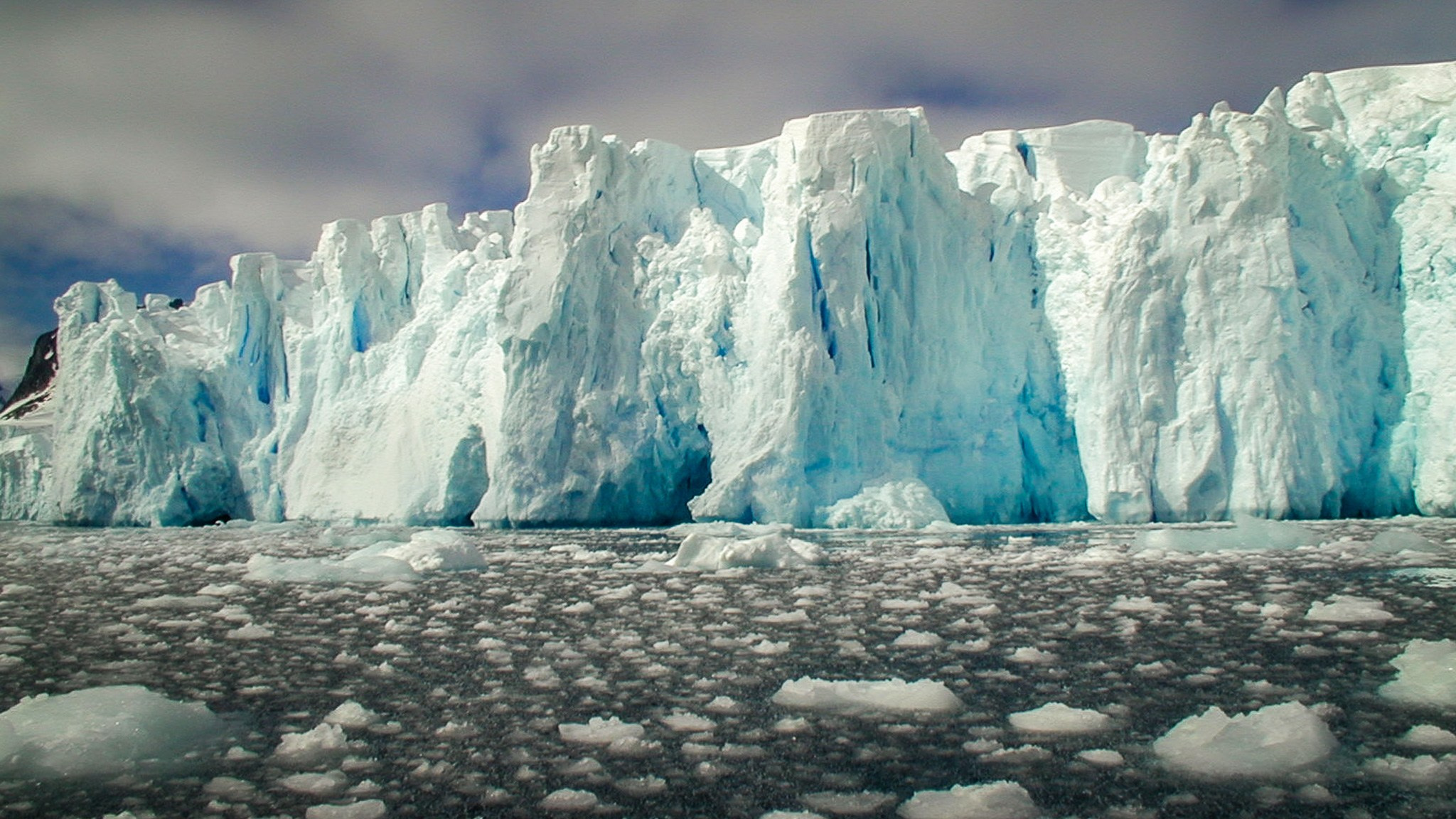 ANTARCTICA / 2004. Reportage concert portrait photography in the San Francisco Bay Area