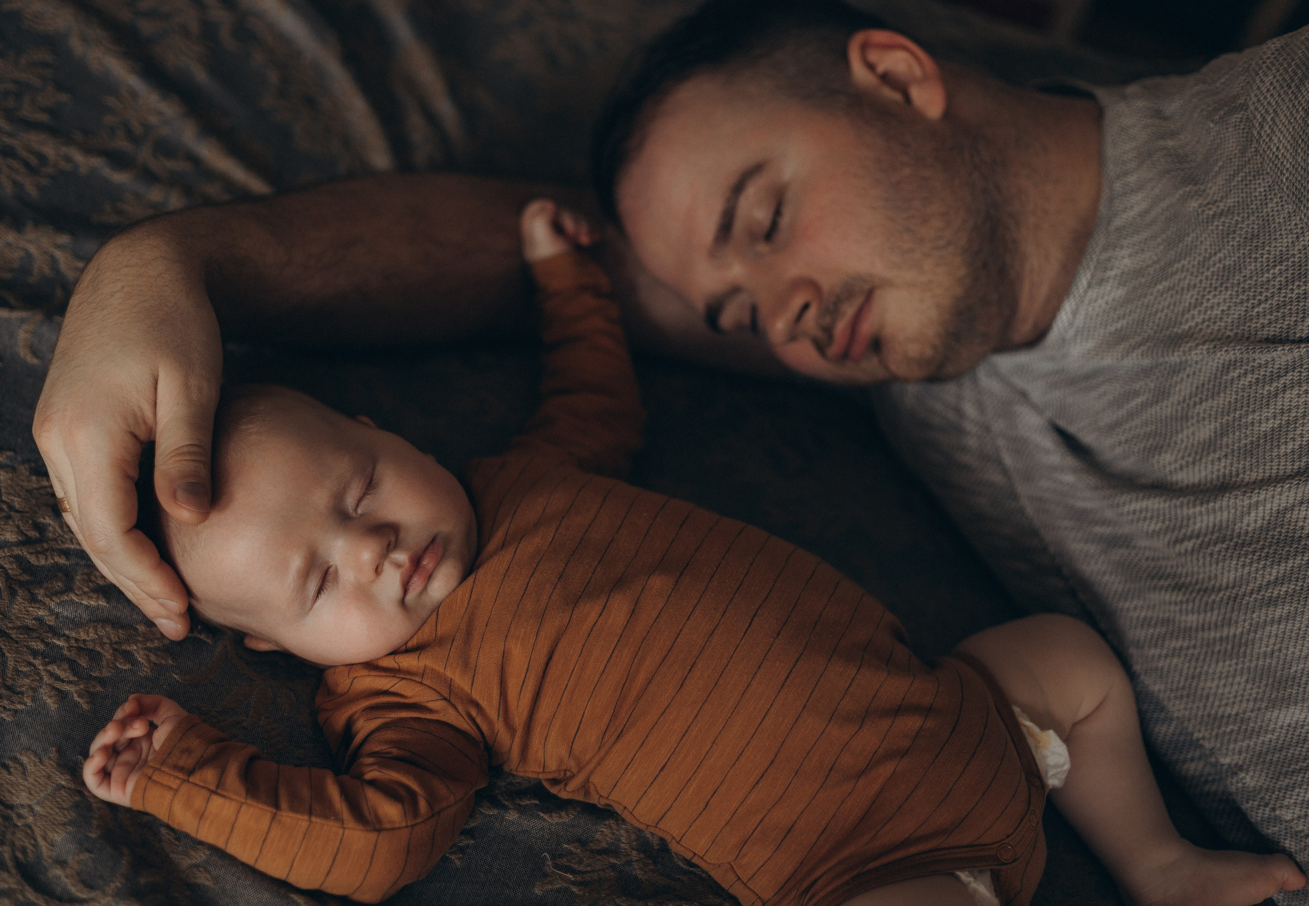 LĪVAS ģimene. GALVENĀ