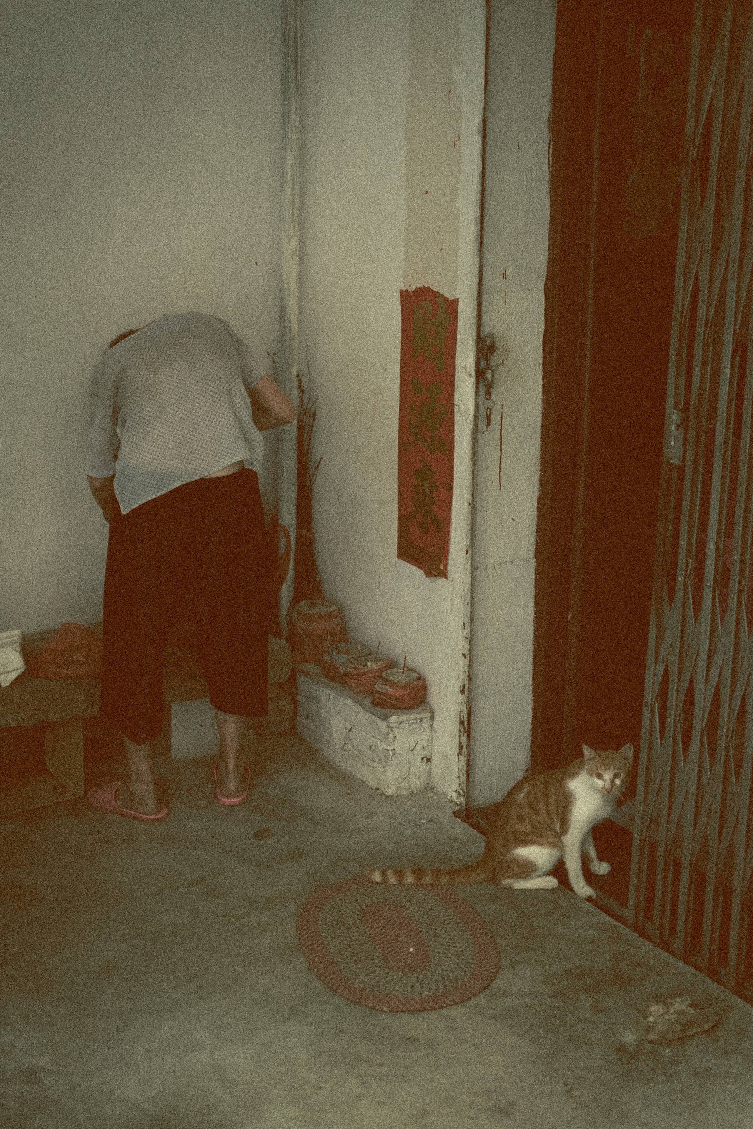 街头摄影 | Zhaoqing 肇庆 Street Photography | China 🇨🇳