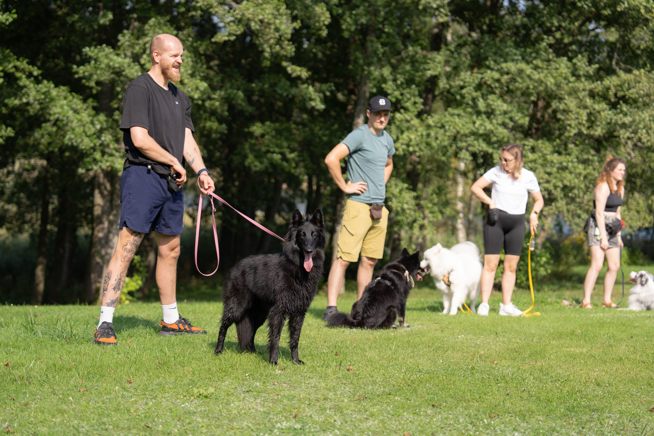 Heppi Dogo fest 2025. Vita Klimaševska ○ Fluffy Soulmate Photography
