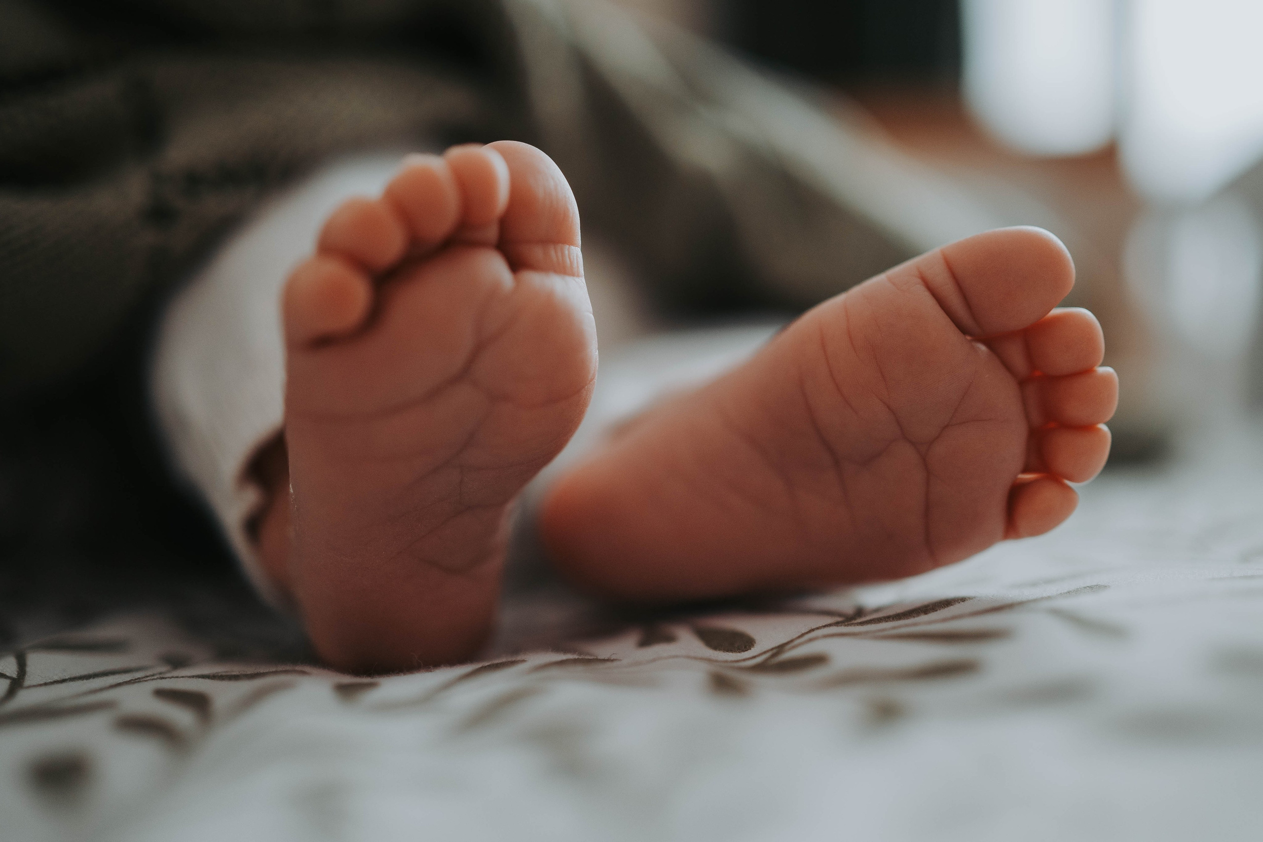 Vuk - fotografisanje bebe kod kuće. Dečiji i porodični fotograf