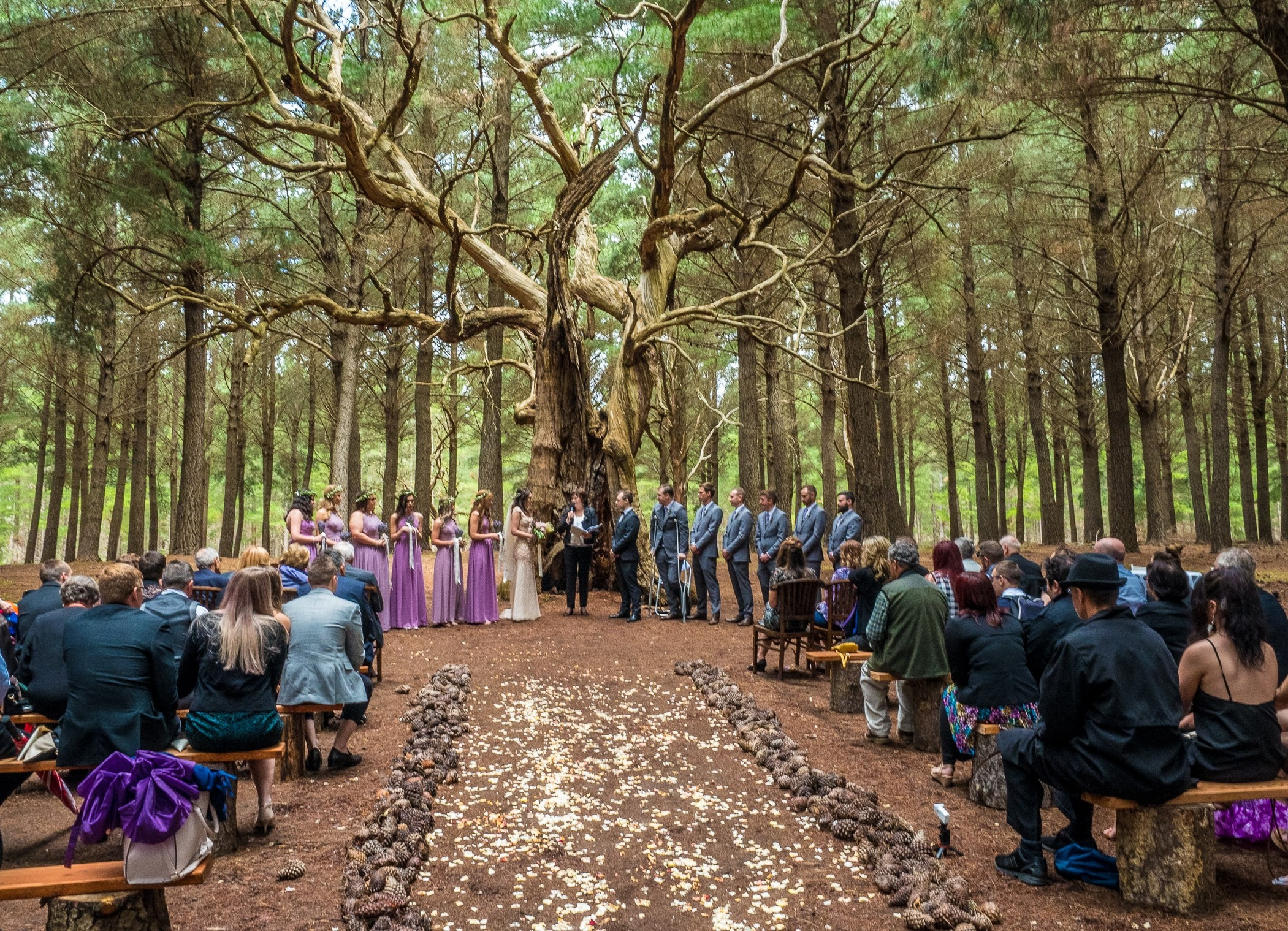 Services. Garry Quilliam — Adelaide, SA — Wedding and Portrait Photographer