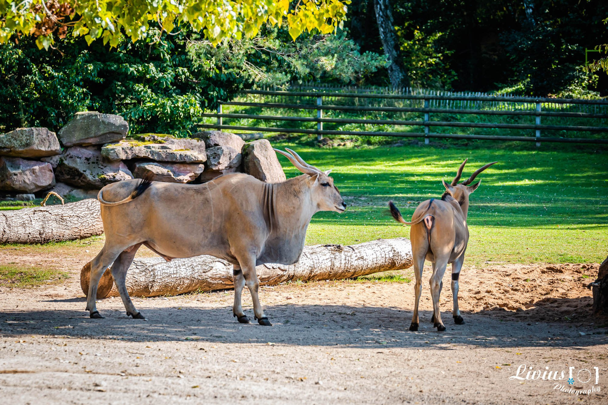 Tierpark Nürnberg. FOTO KREATIV