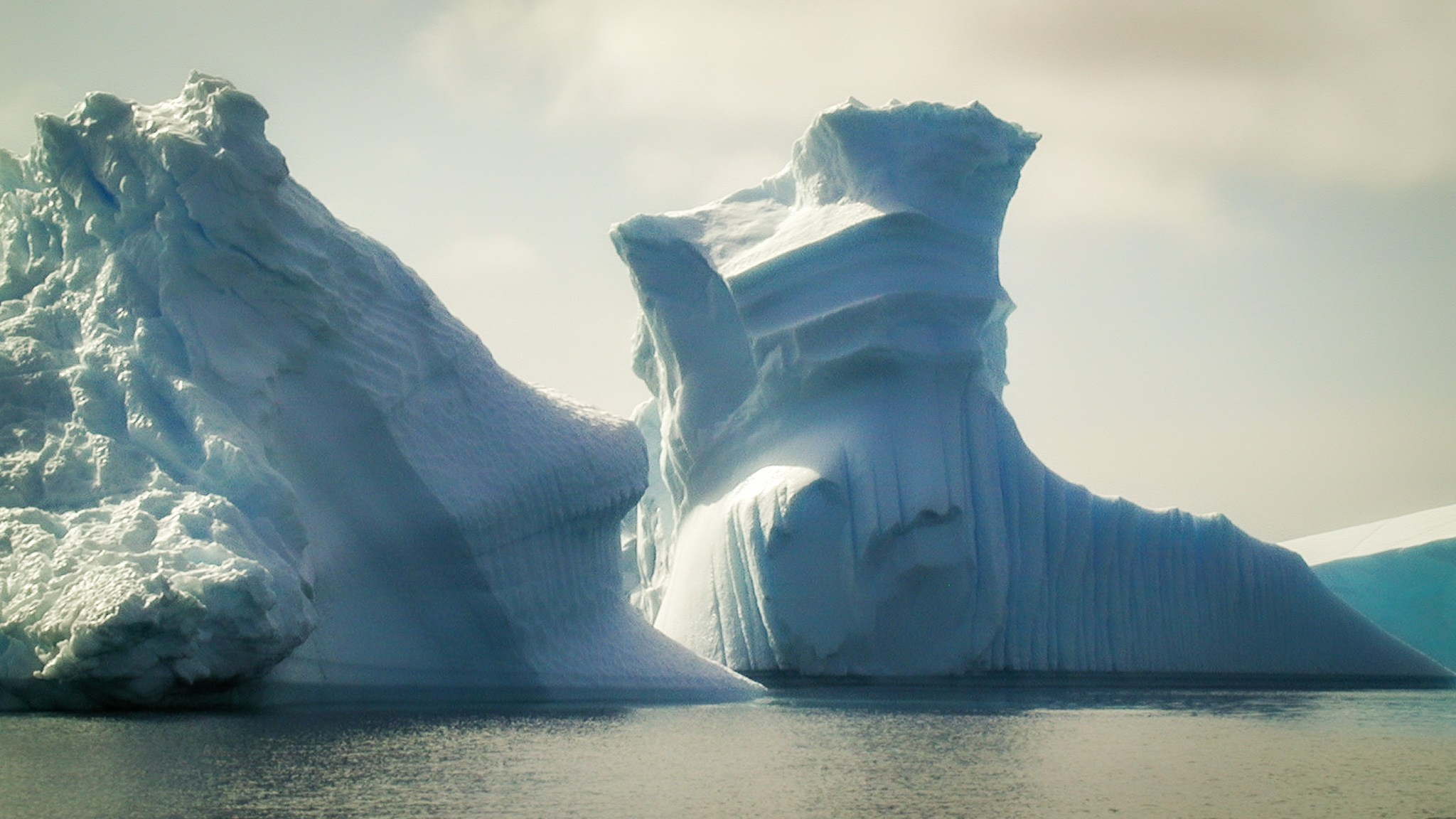 ANTARCTICA / 2004. Reportage concert portrait photography in the San Francisco Bay Area