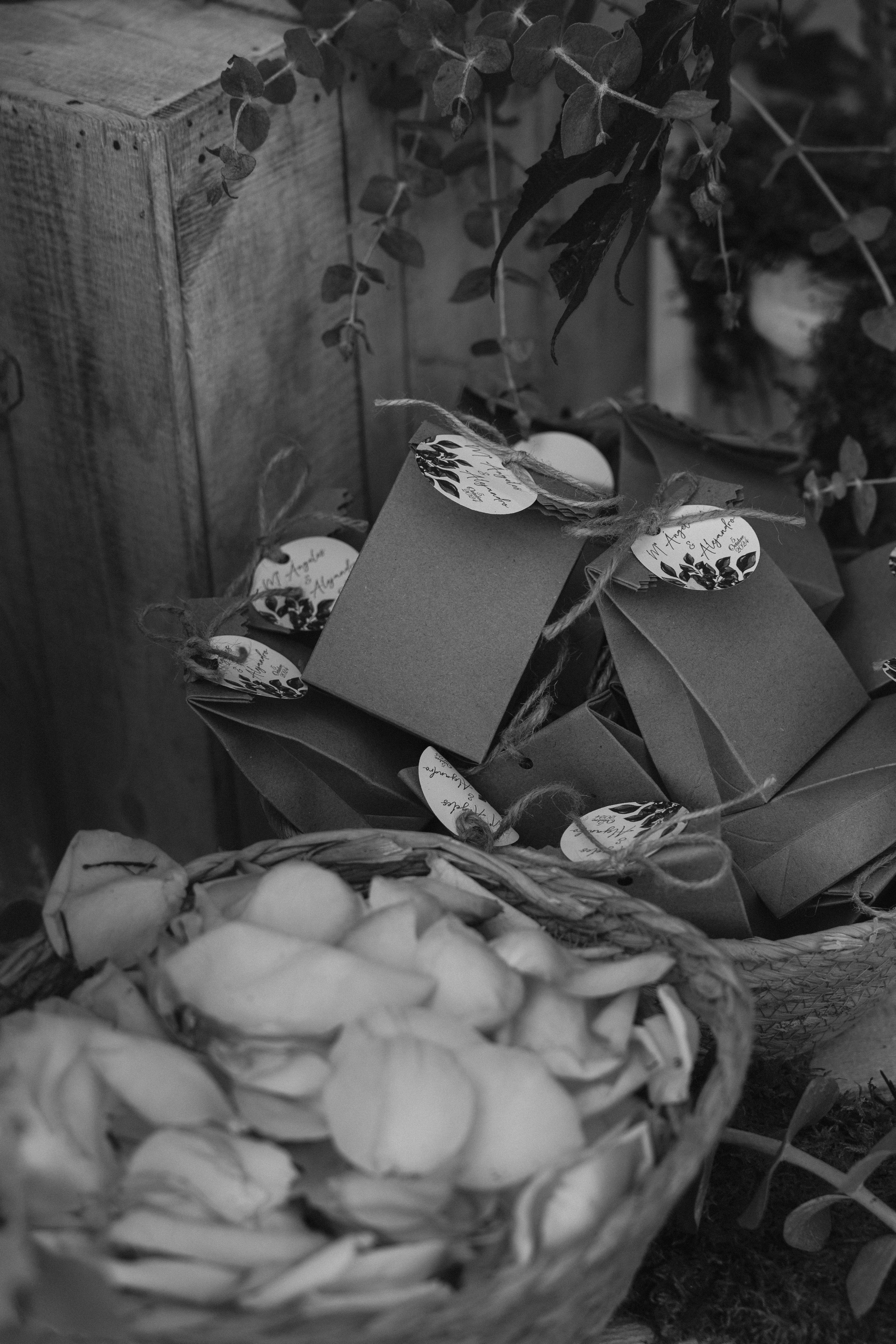 Mª ÁNGELES & ALEJANDRO. Fotógrafo y Videografo de bodas y eventos