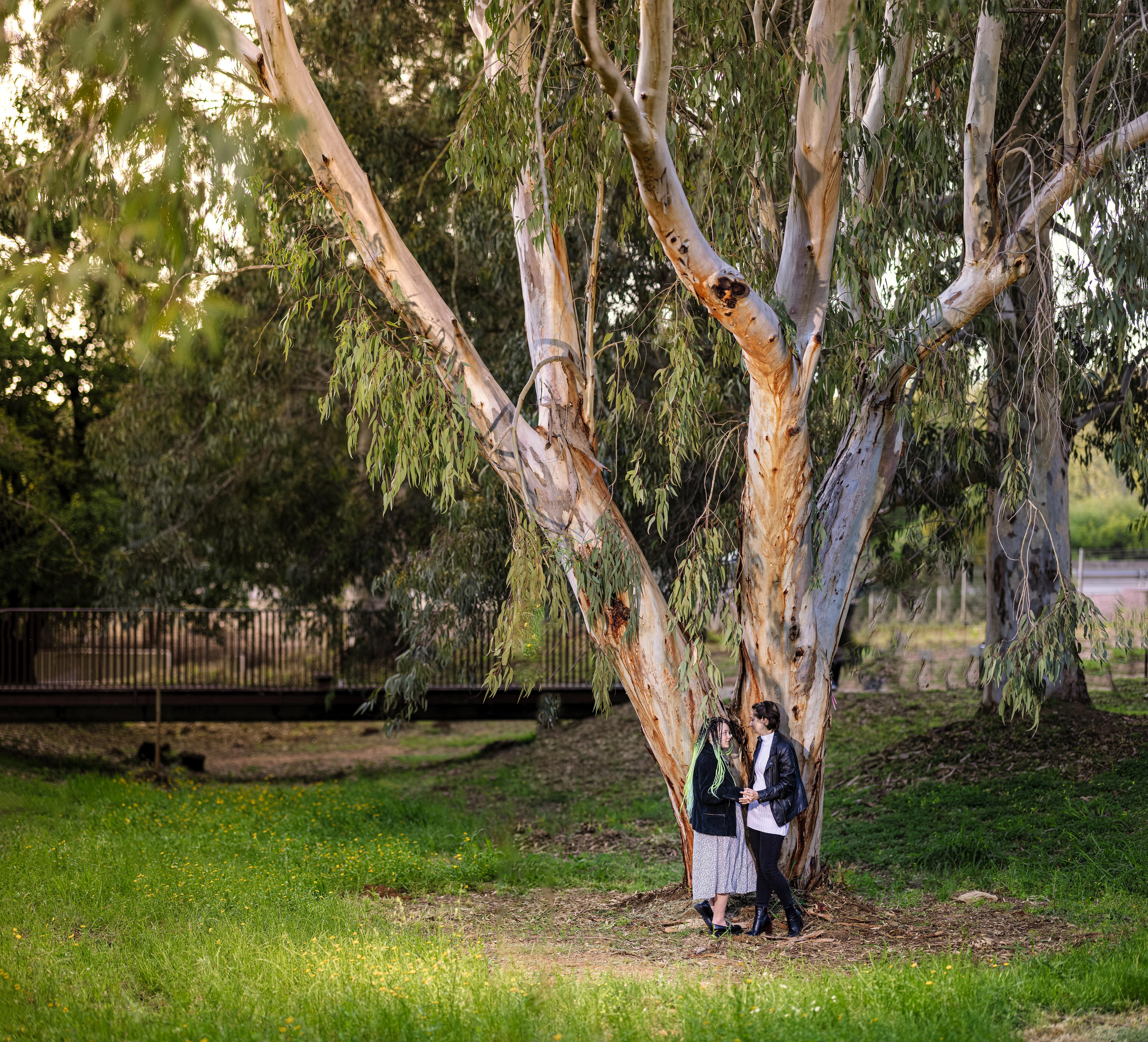 בוק בת מצווה אדליה. Time machine Studio