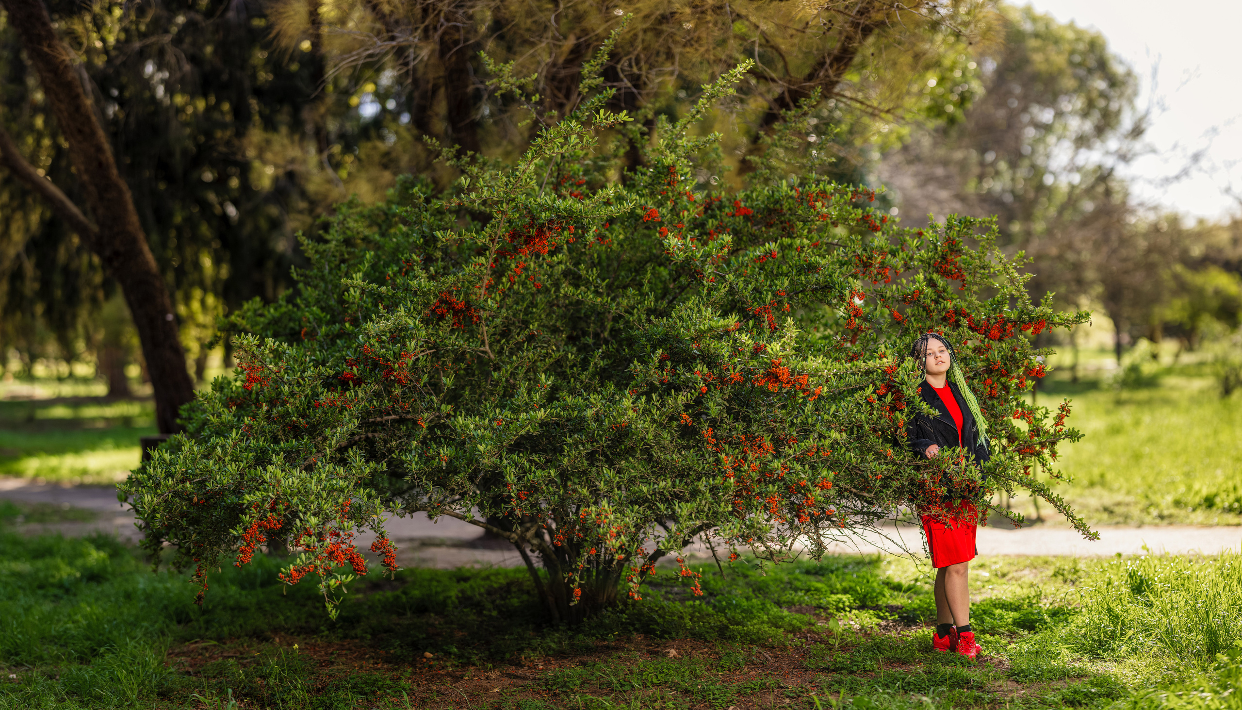 בוק בת מצווה אדליה. Time machine Studio