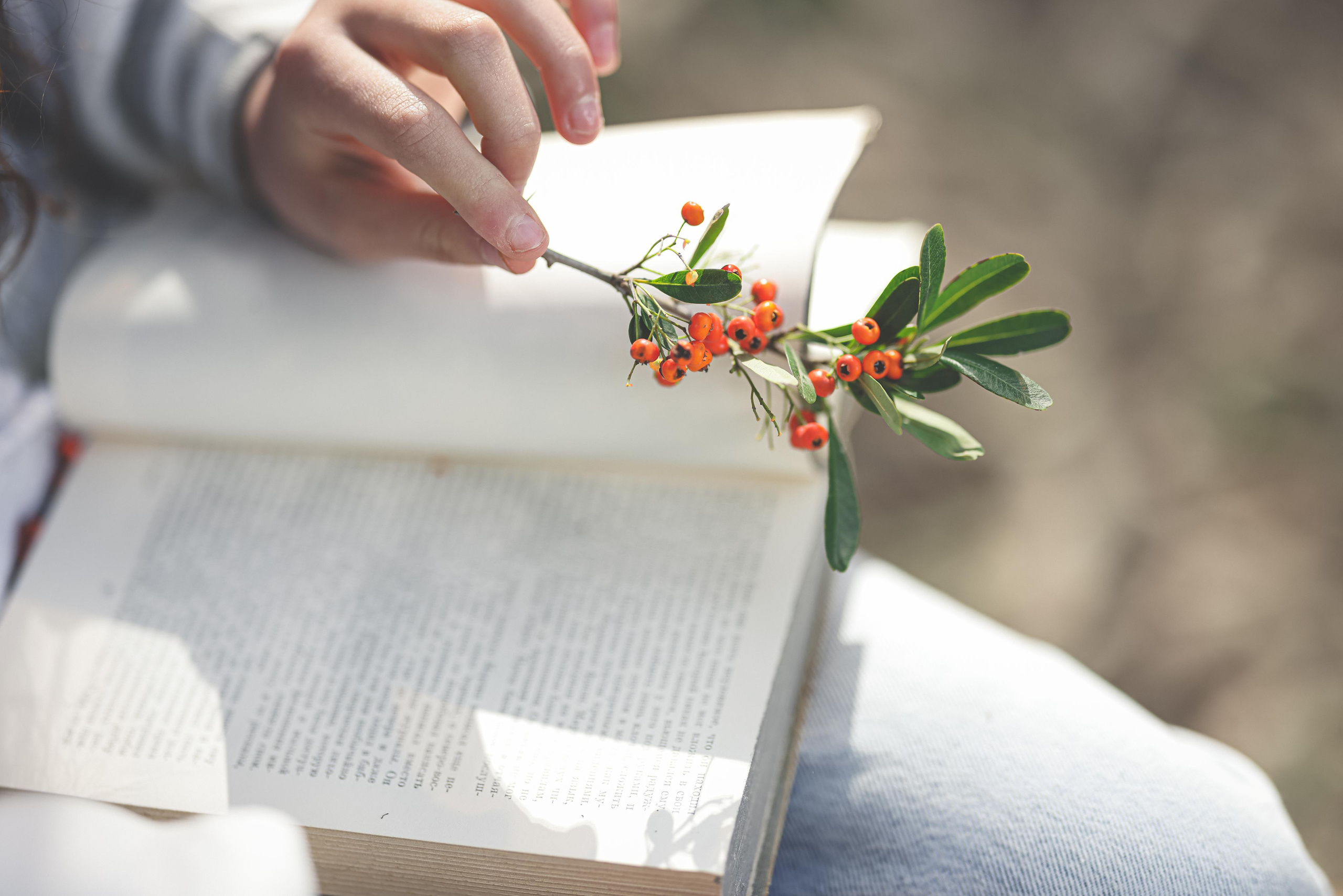 בוק בת מצווה אוולין. Time machine Studio