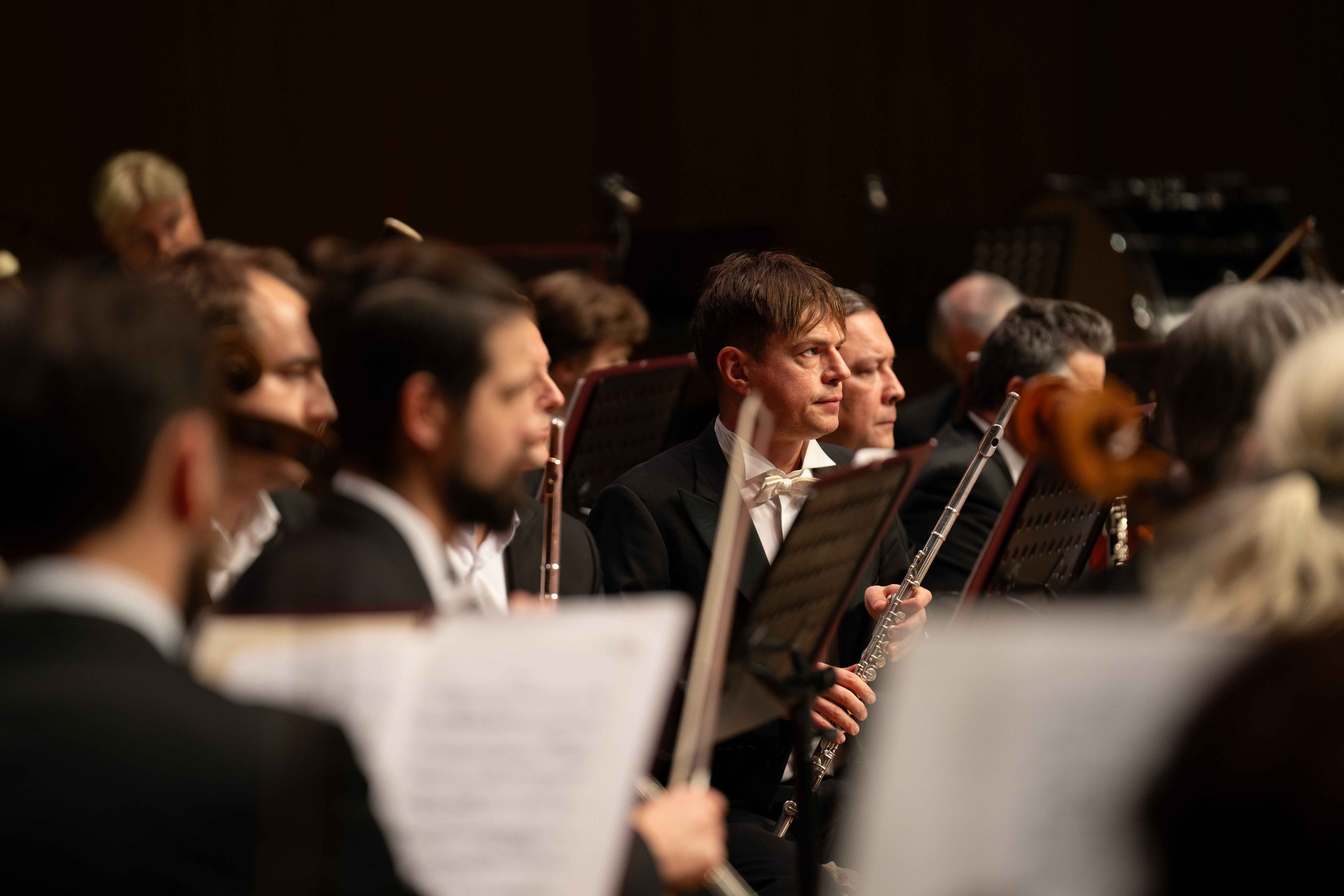 The Tchaikovsky Academic Grand Symphony Orchestra in Baku. Wedding&Event photographer Ismail Rzayev in Baku