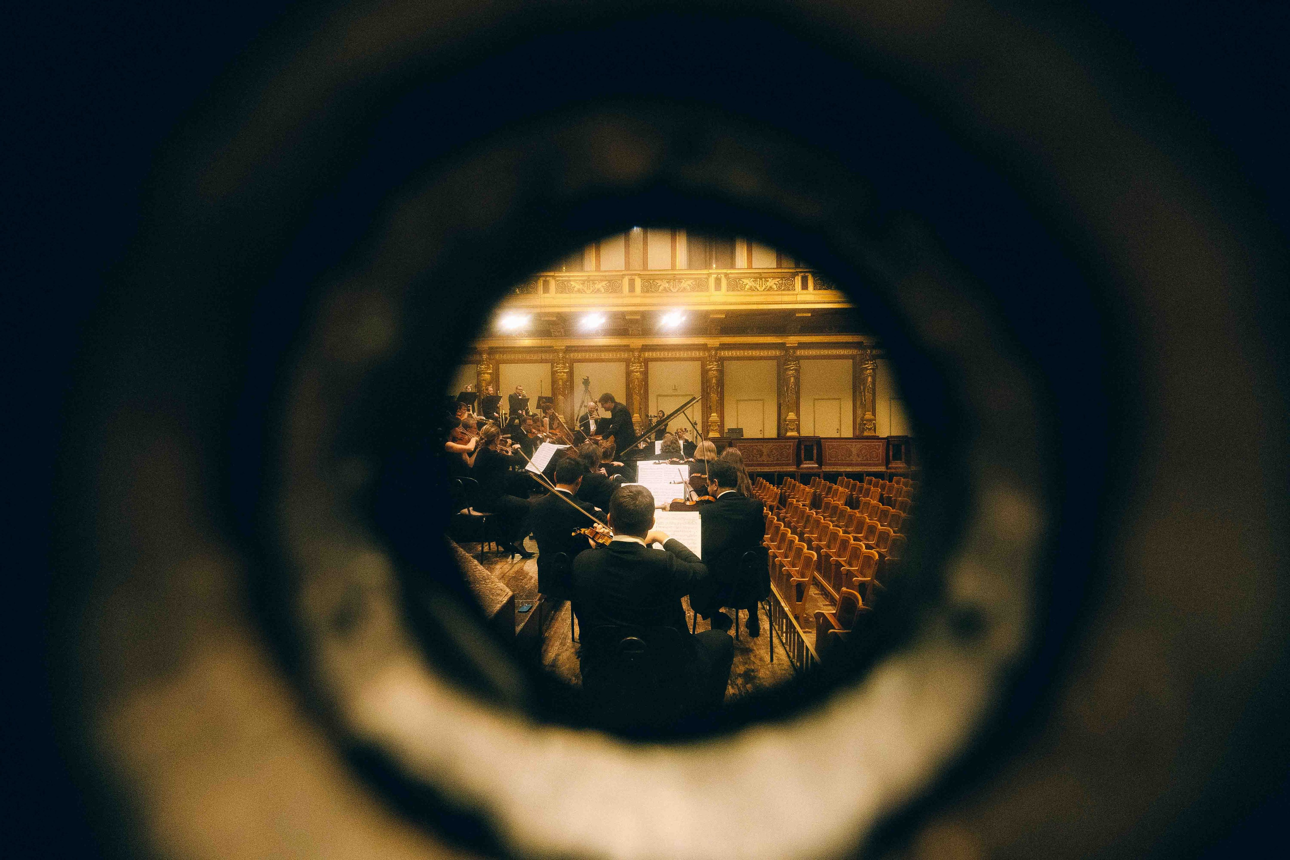 MUSIKVEREIN (VIENNA). Wedding&Event photographer Ismail Rzayev in Baku