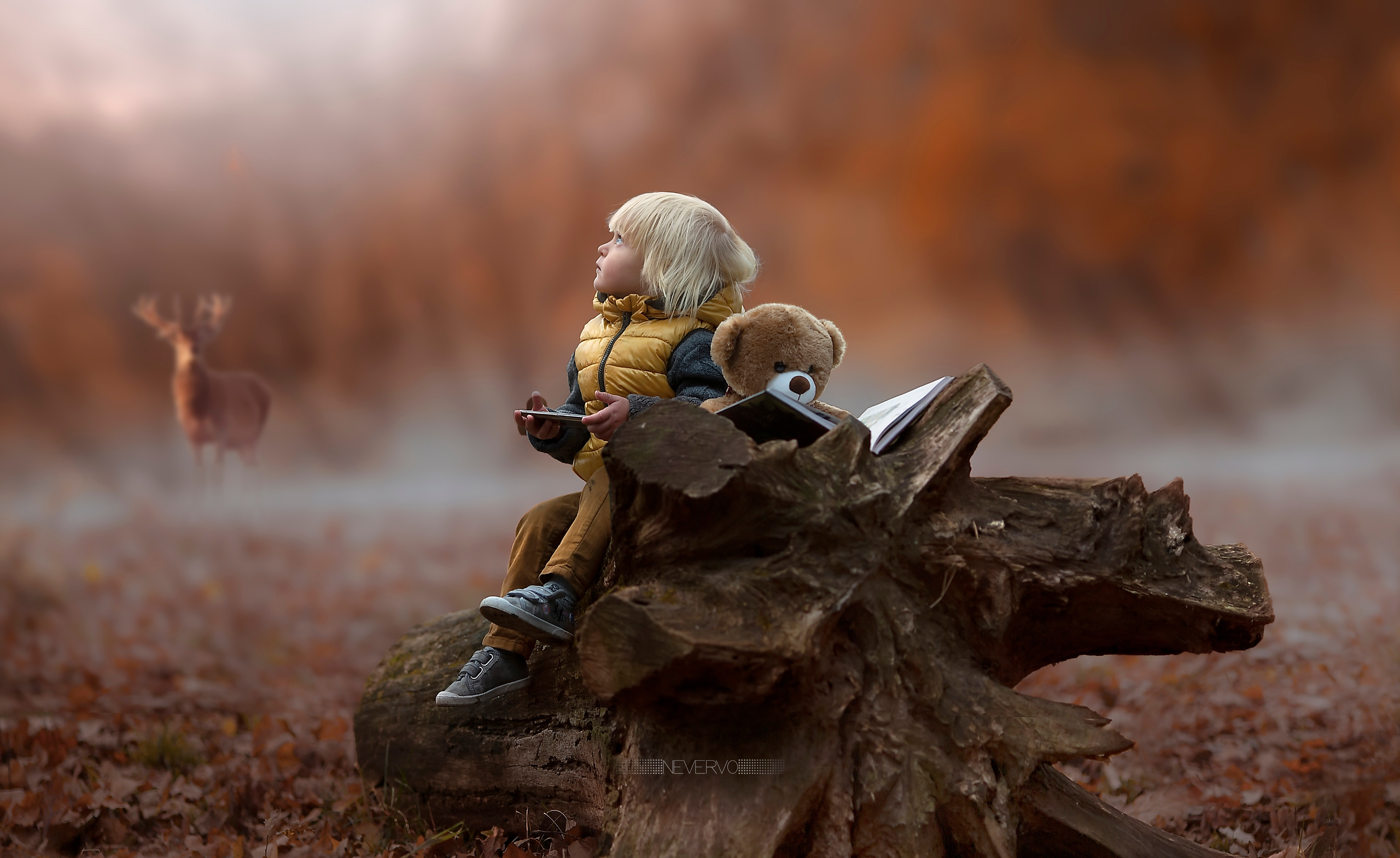 Как организовать фототур, обзор лучших приложений для ретуши и чек-лис