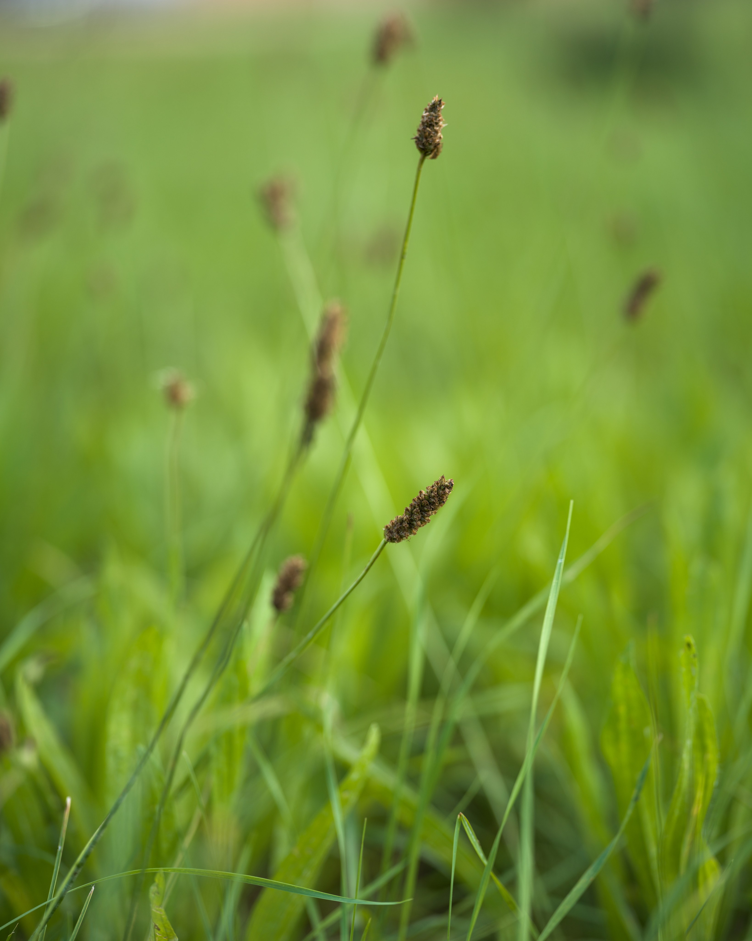 Travel. Visual artist | Fotograf | Stuttgart