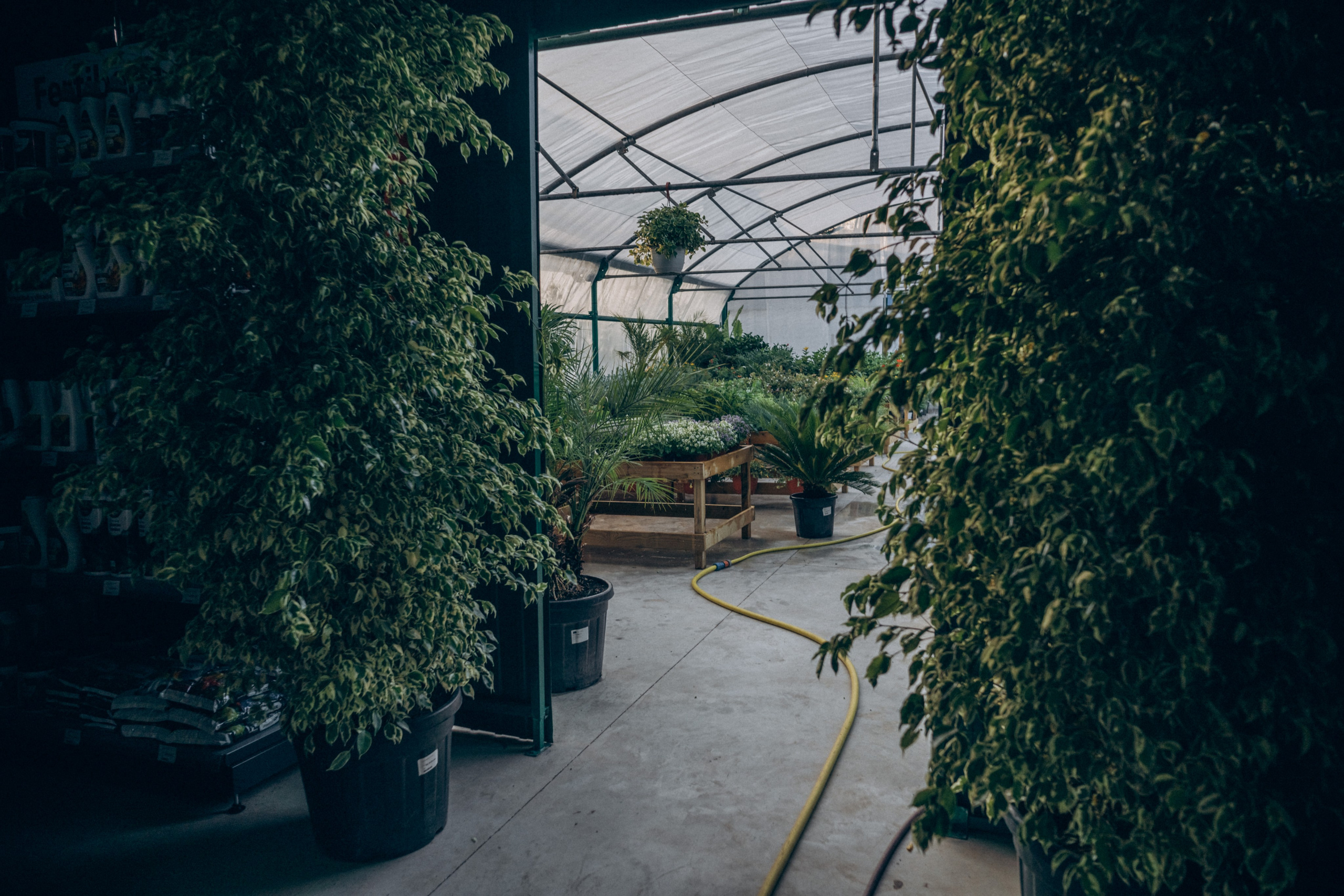 Centro Jardin. Photographer in Mallorca