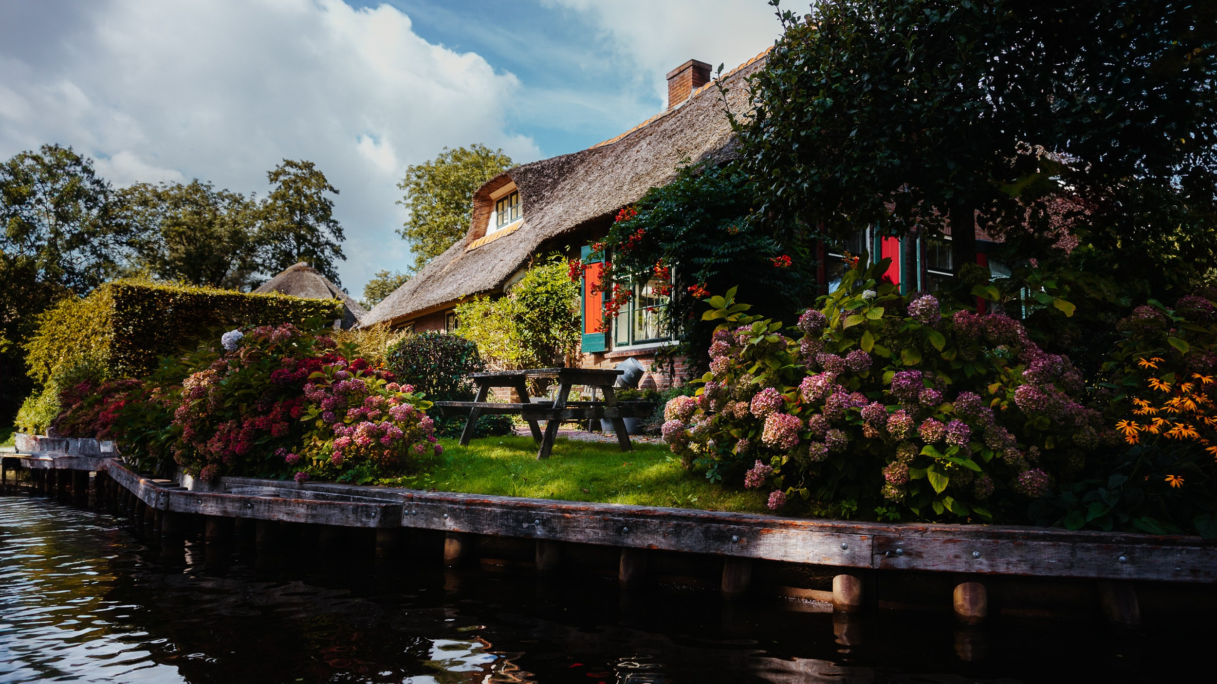 Olanda. Marius Ciocan