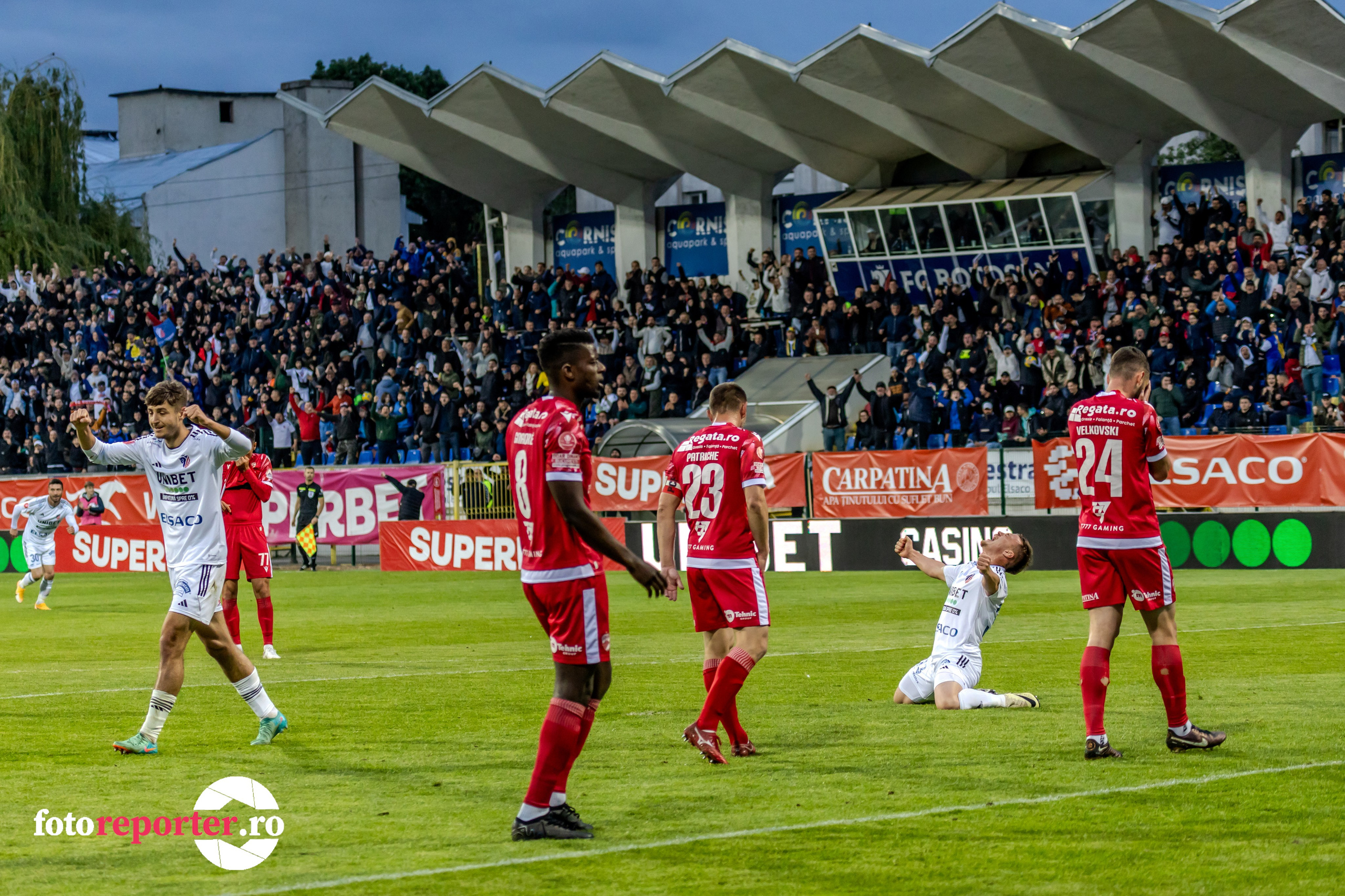 Momente Epice: Galerie foto din meciul de fotbal FC Botoșani vs Dinamo