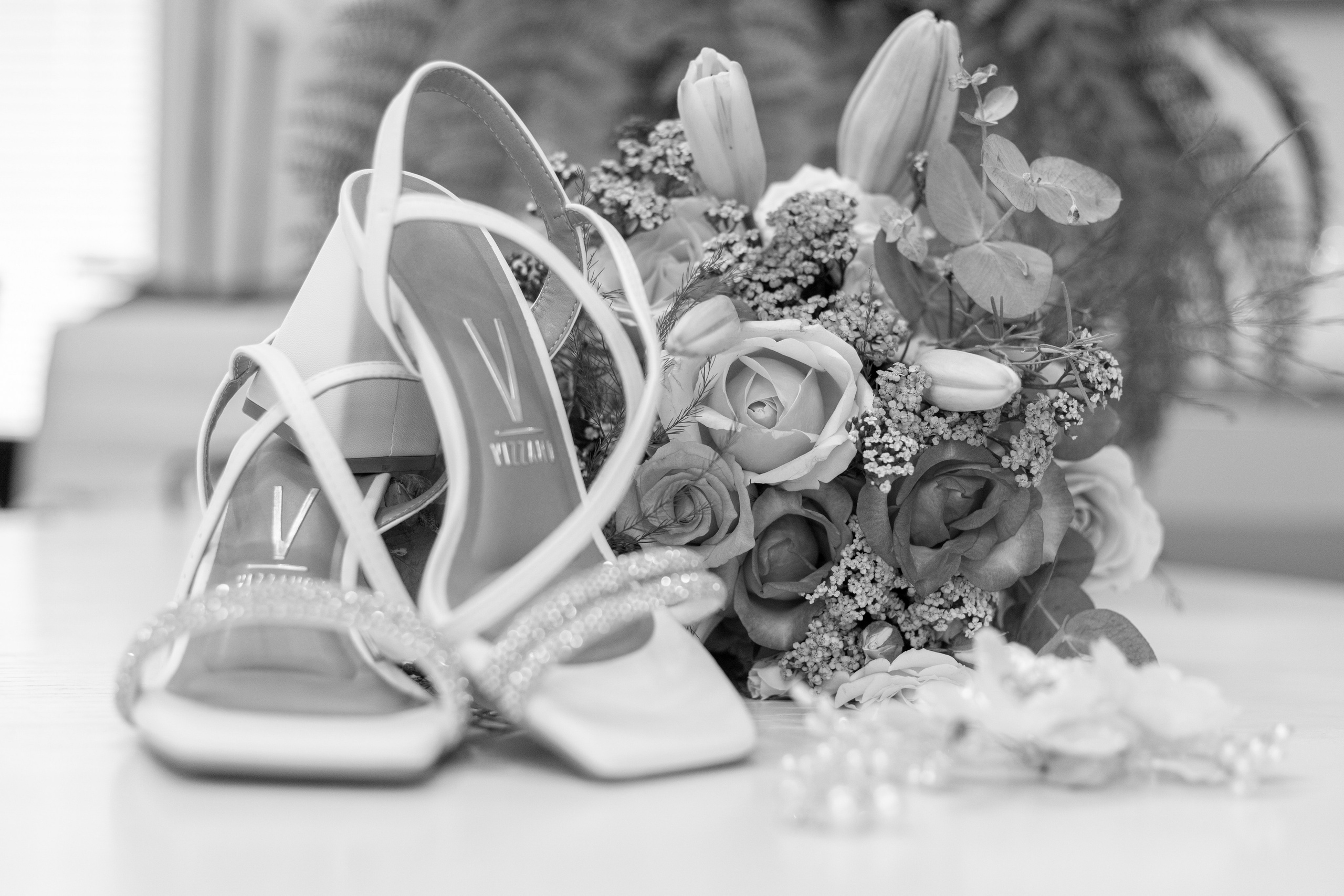 Rafael e Elisa. Bem-vindo ao Meu Mundo Fotográfico