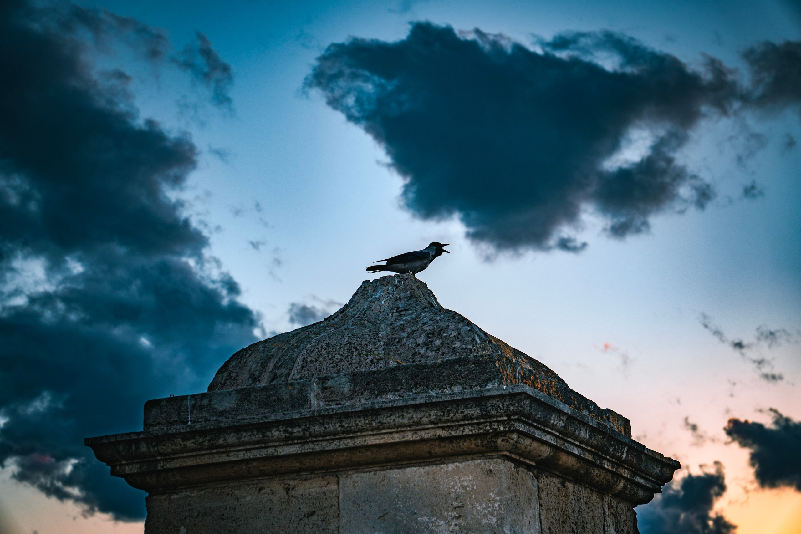 Crow. Главное меню