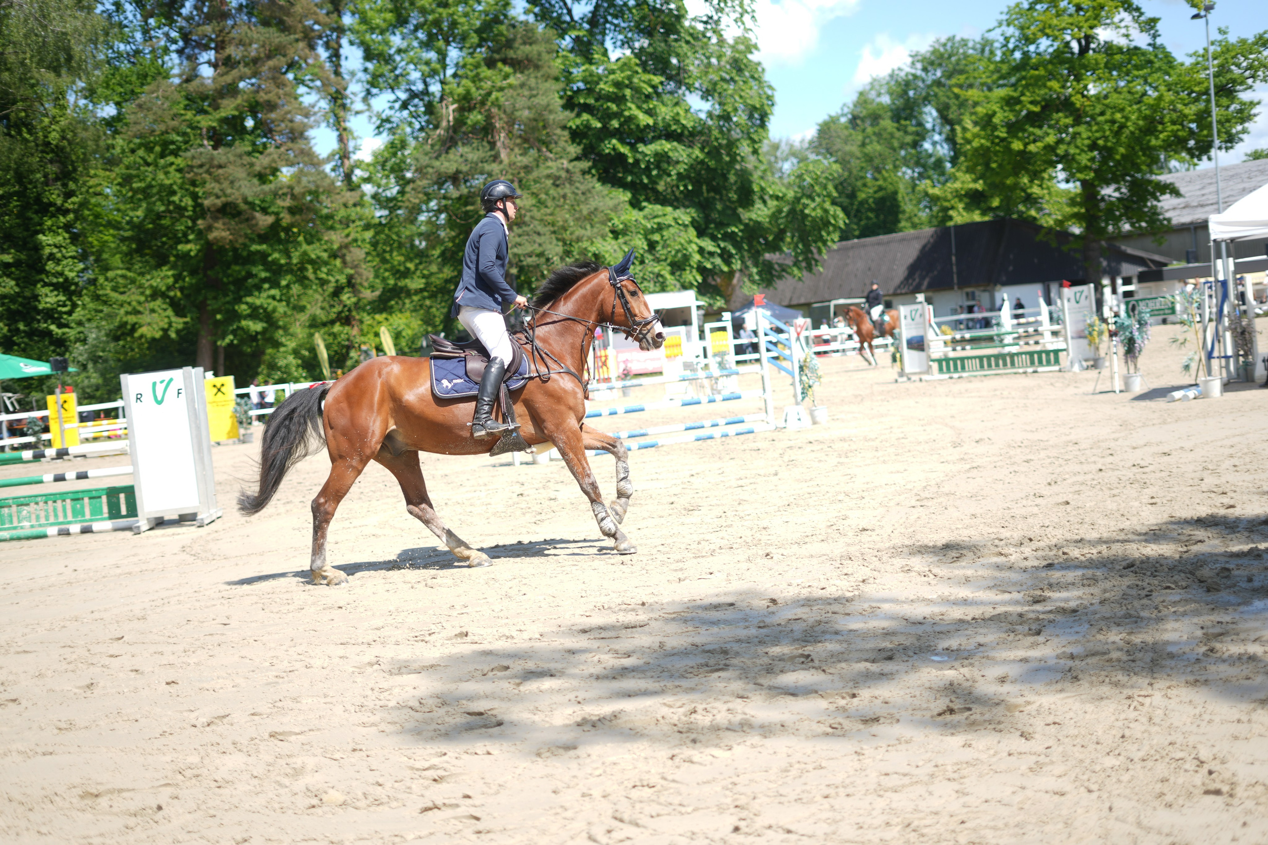 Equestrian Competition