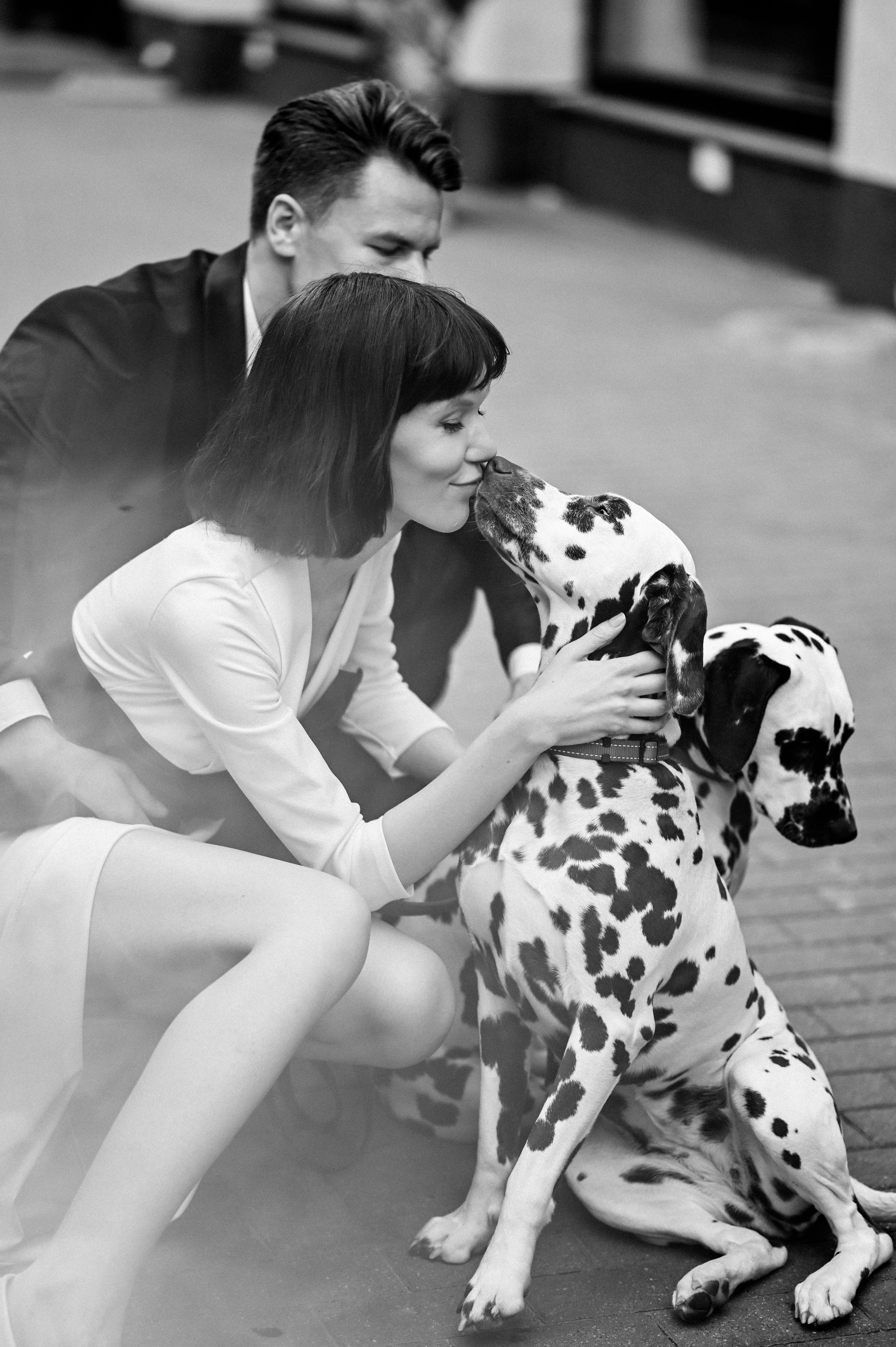 История с далматинцами. Детский и семейный фотограф в финляндии дина пулкка. контент фотограф