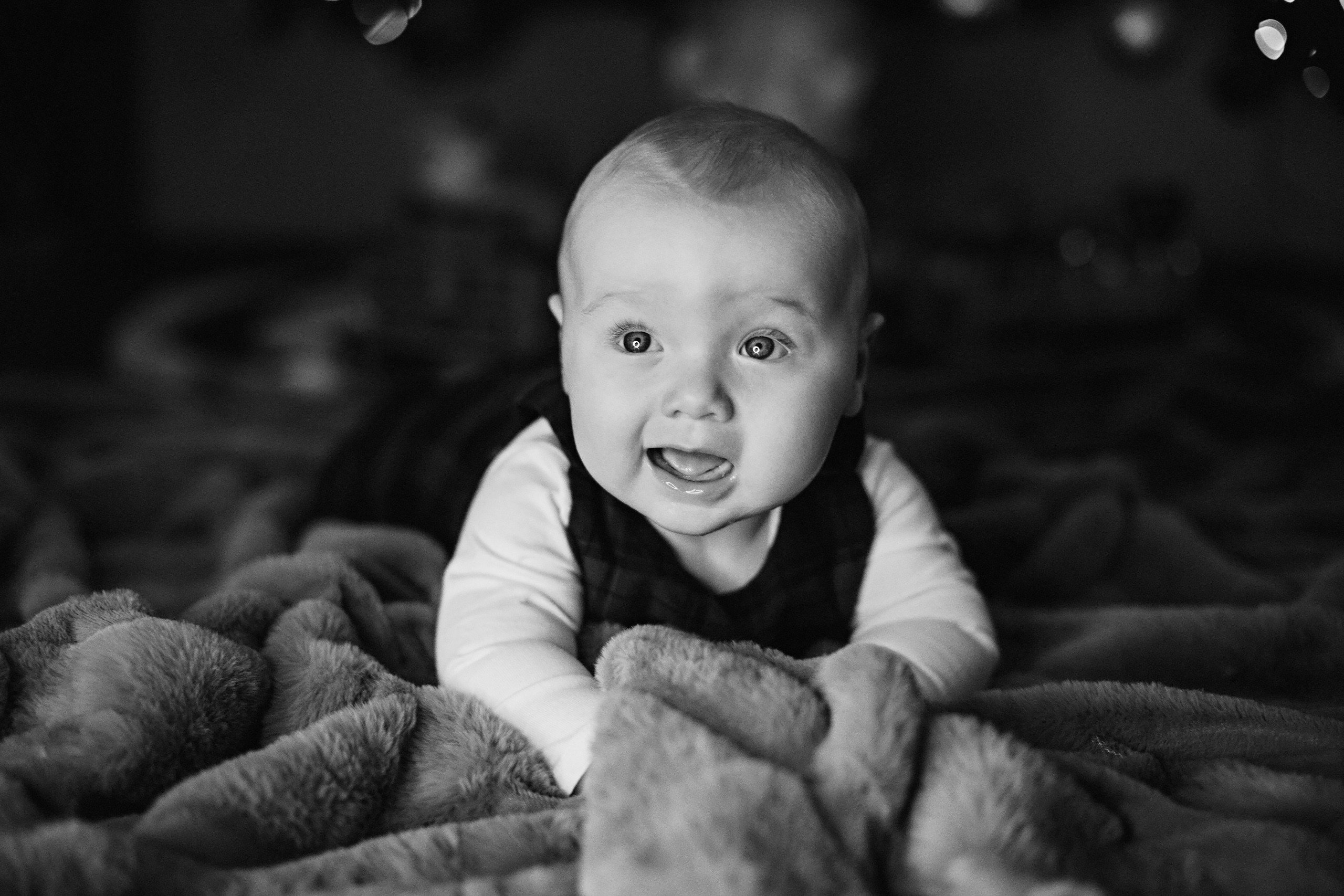 19.11.2023 Christmas Photoshoot. Wedding family event photographer in Chicago Nick Yushevich