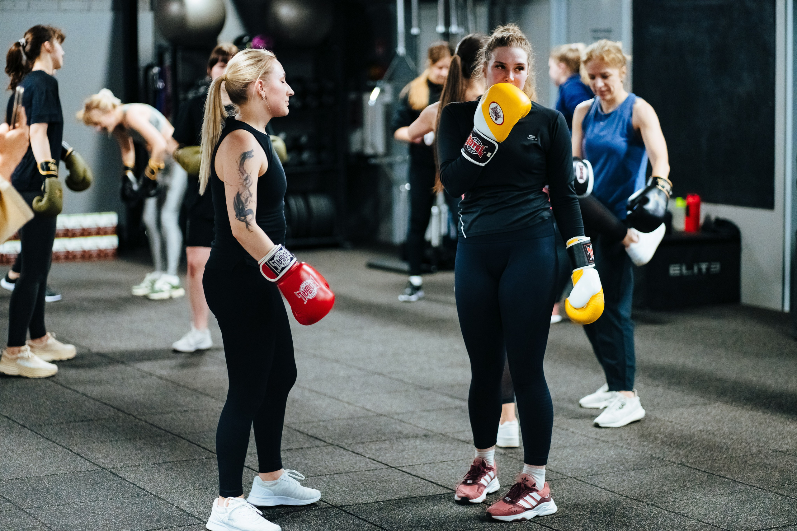 Gym+ Muay Thai. OnePIXEL