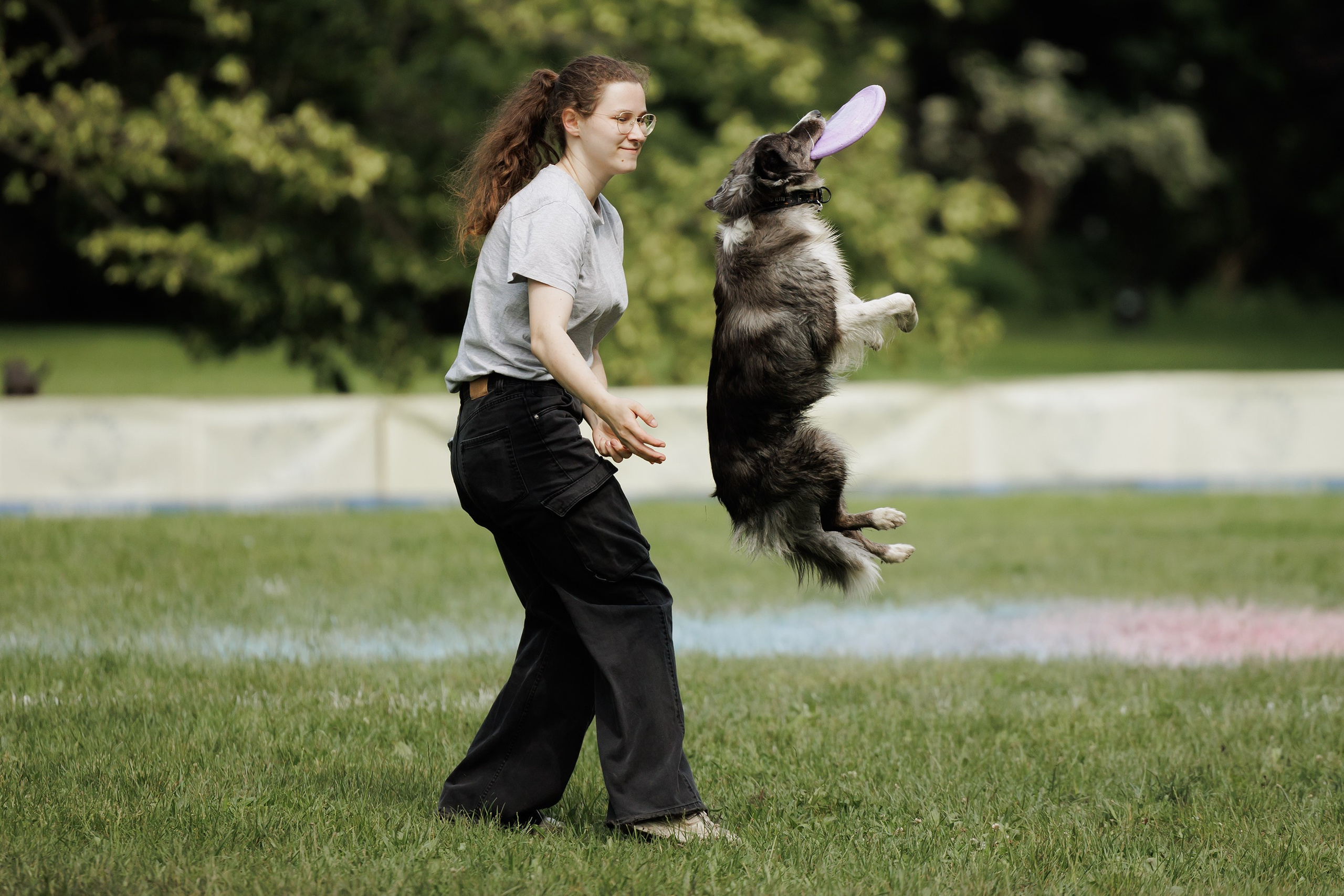 Latające psy, Wrocław'25. Kaja | fotograf psów we Wrocławiu