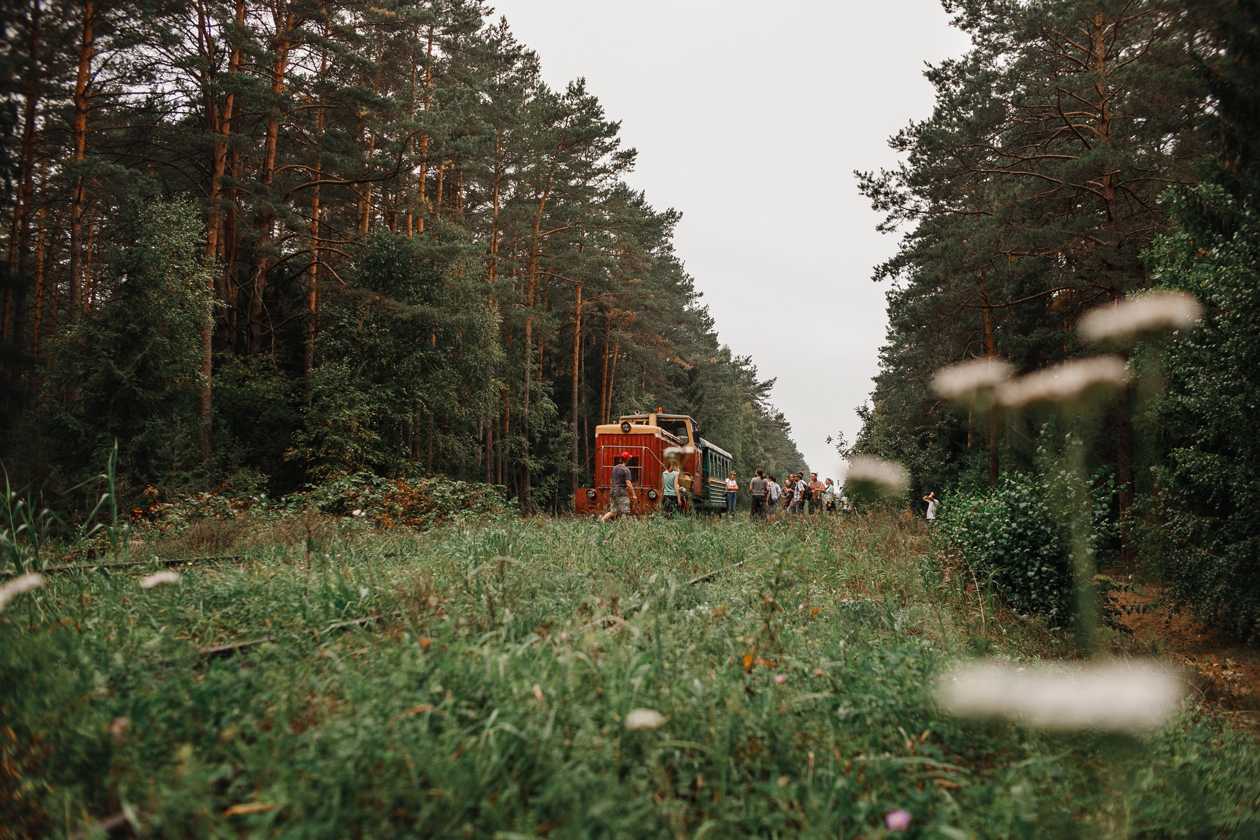 Narrow-gauge railway trip. Kaja | fotograf psów we Wrocławiu