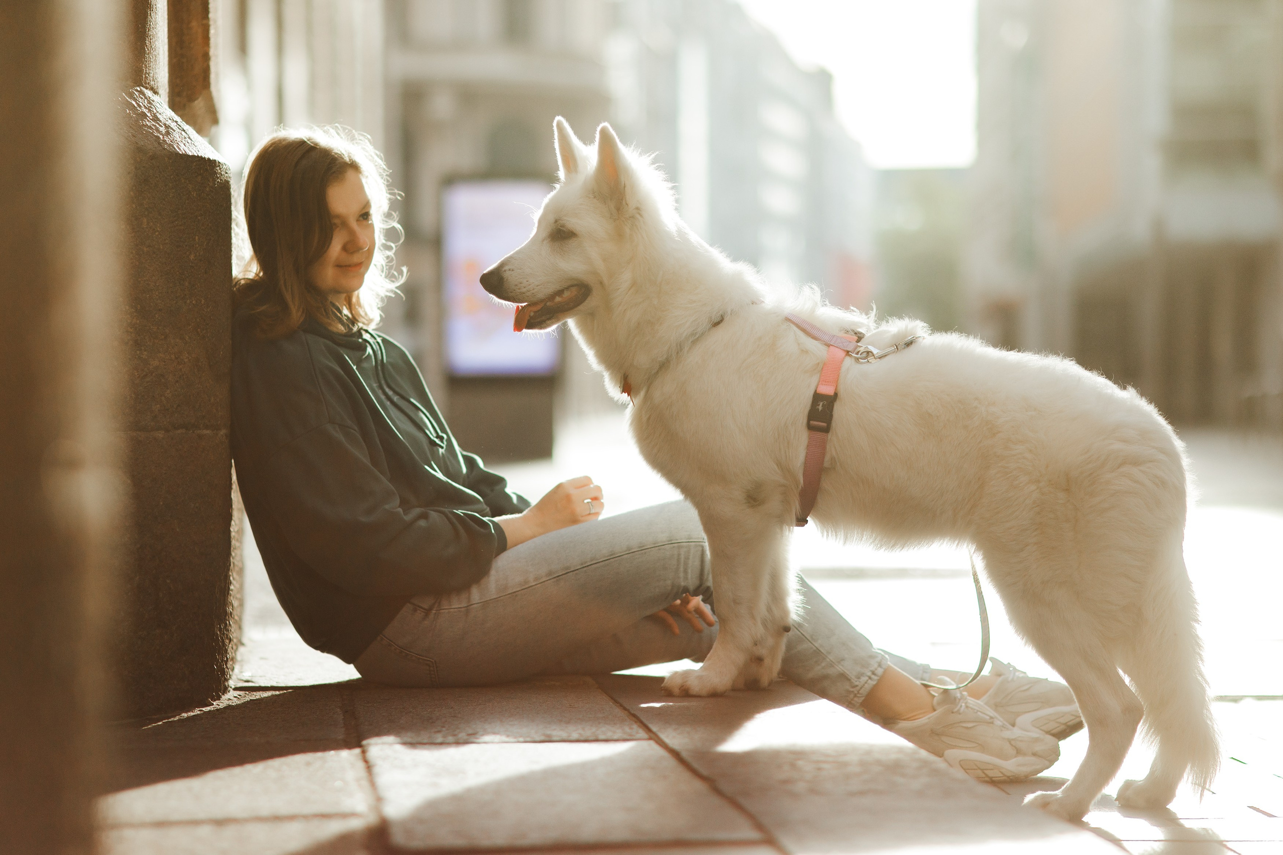 Astra in Leipzig. Kaja | fotograf we Wrocławiu | ludzie i psy