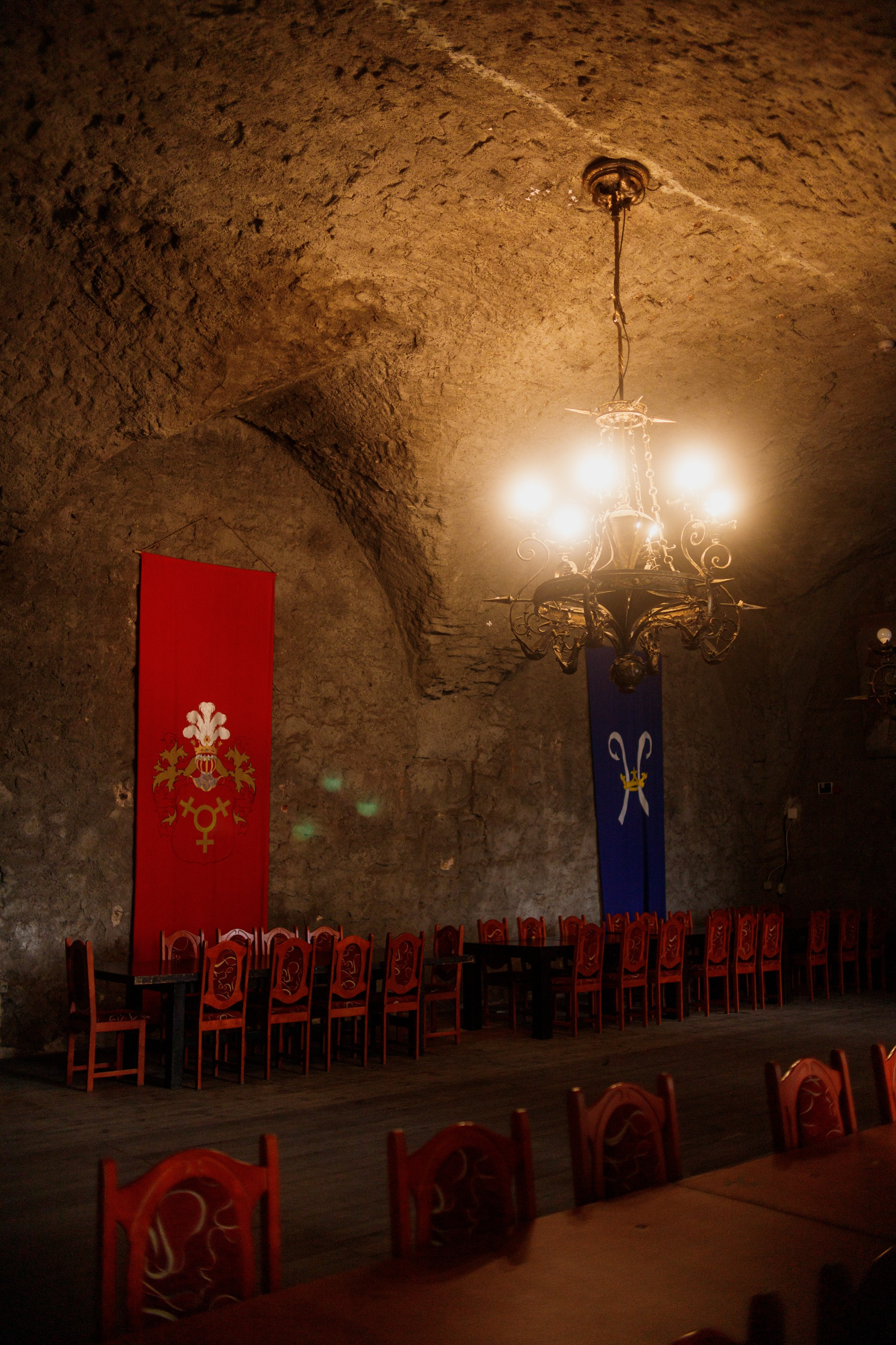 Zamek Grodziec. Kaja | fotograf psów we Wrocławiu