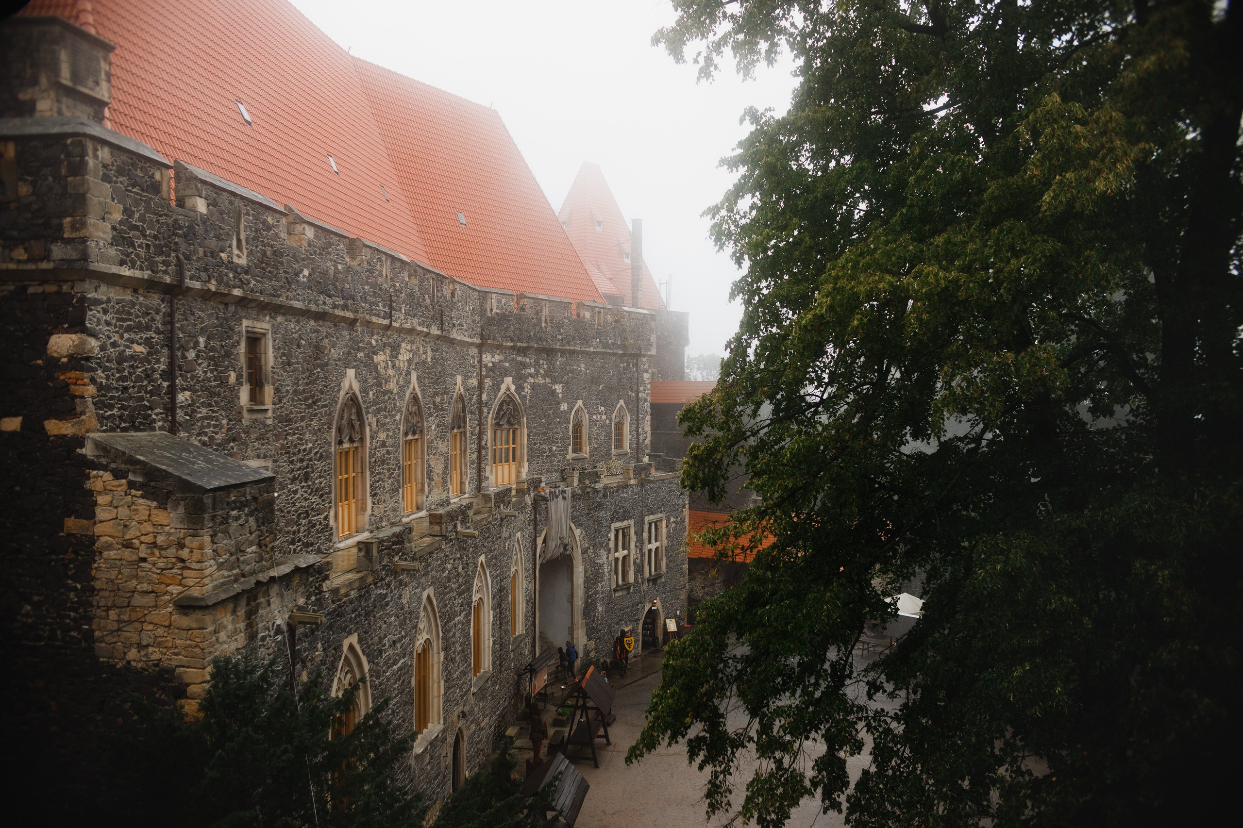 Zamek Grodziec. Kaja | fotograf psów we Wrocławiu