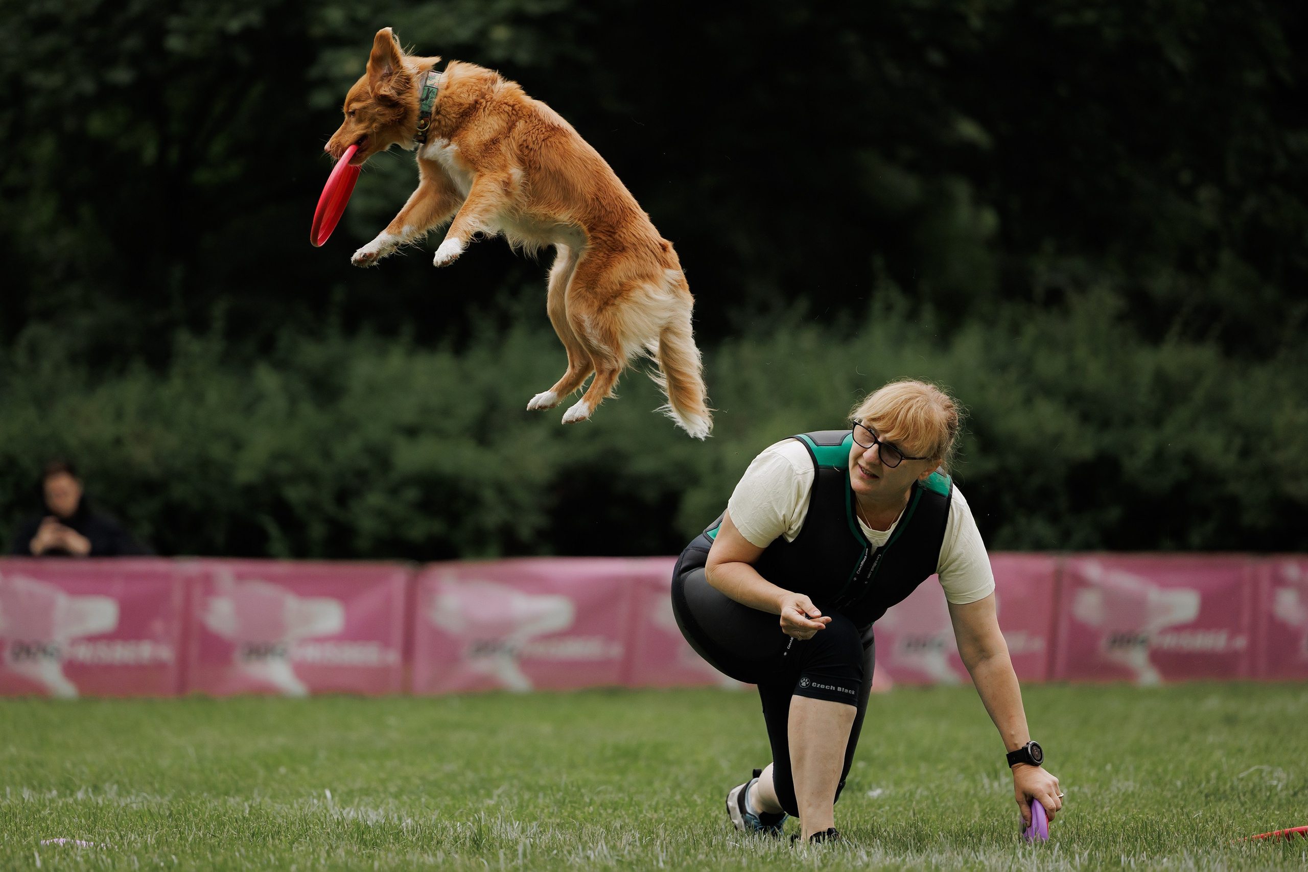 Latające psy, Wrocław'25. Kaja | fotograf psów we Wrocławiu