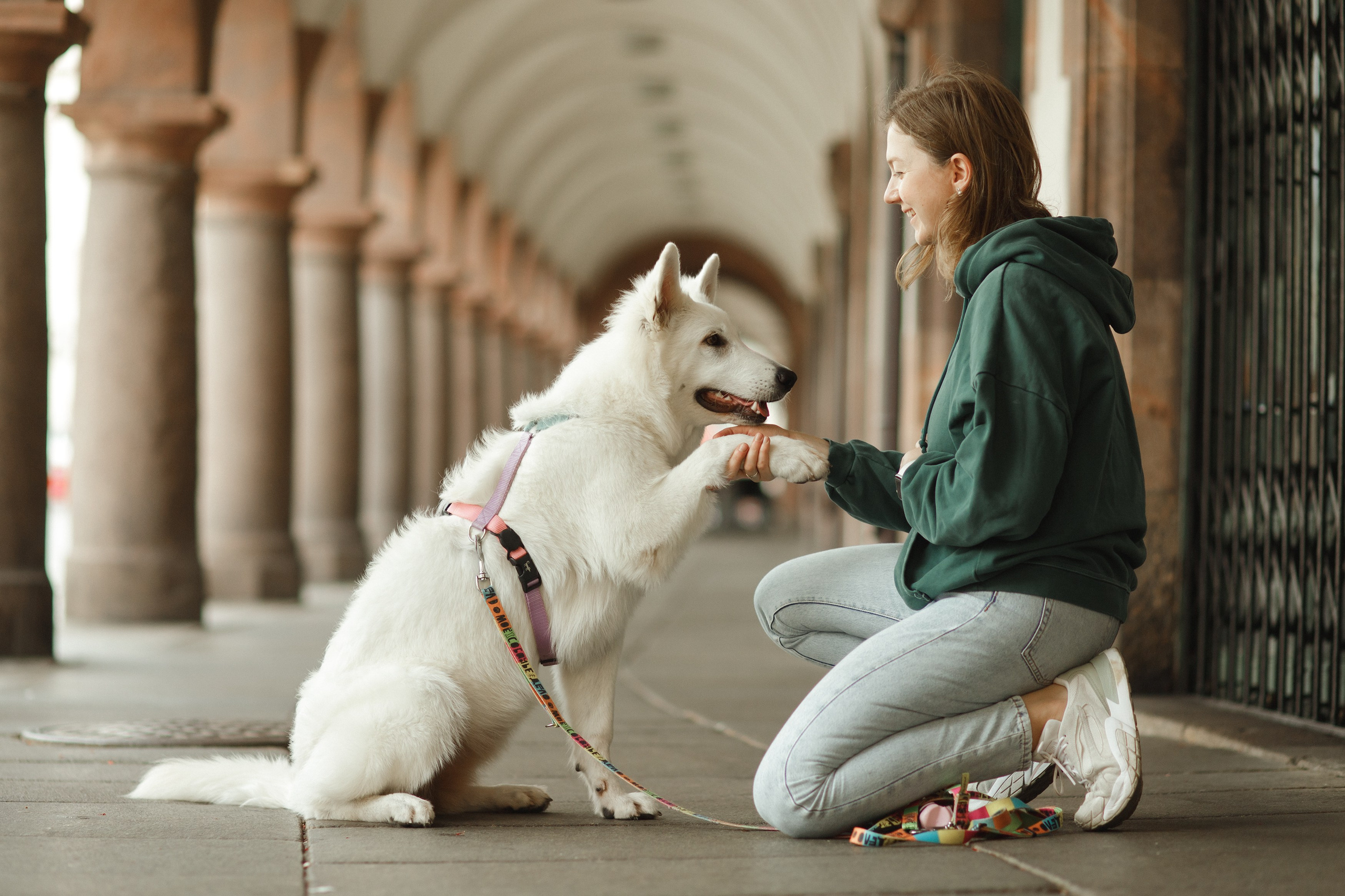 Astra in Leipzig. Kaja | fotograf we Wrocławiu | ludzie i psy