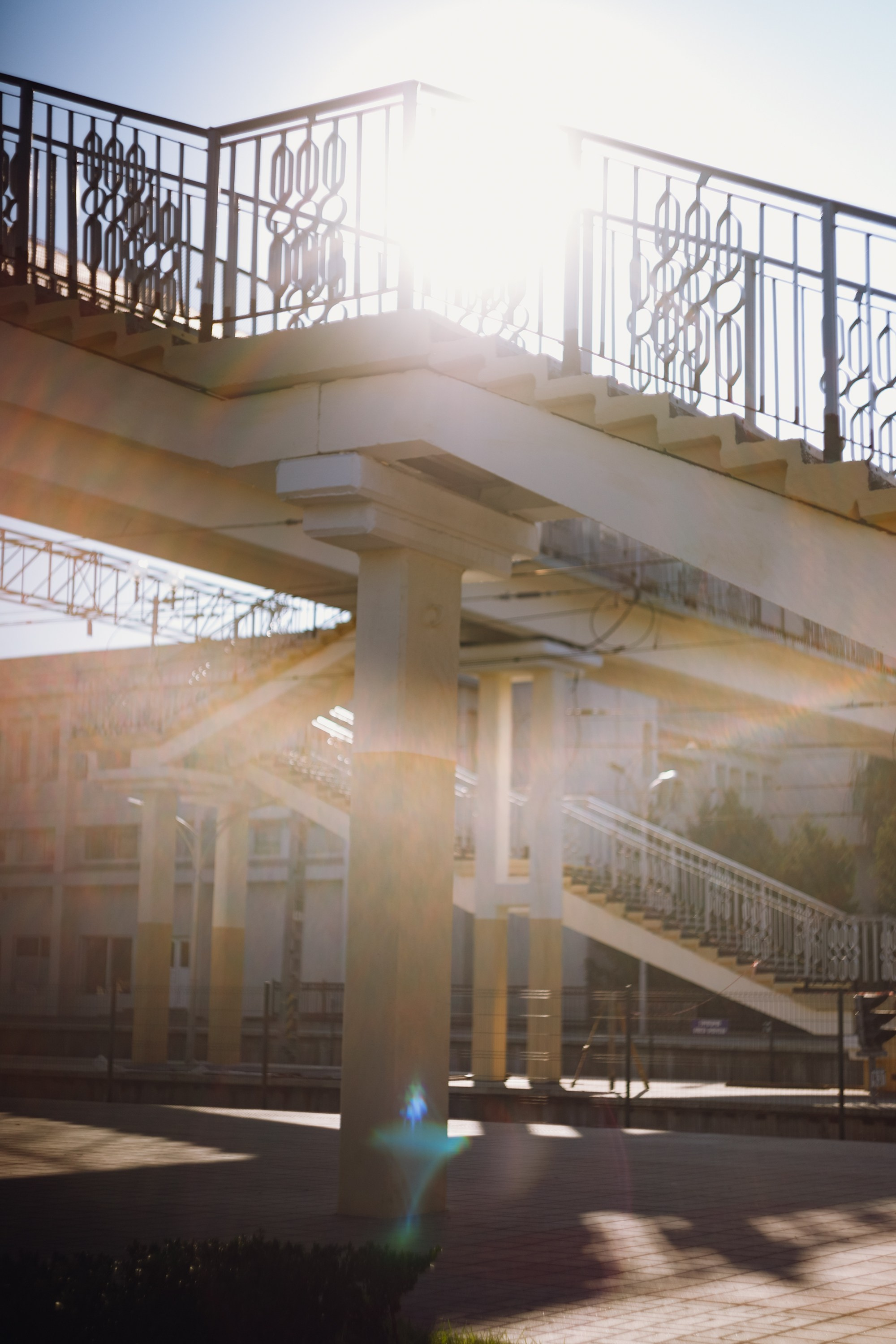 Grandmother's home in Brest. Kaja | fotograf we Wrocławiu | ludzie i psy