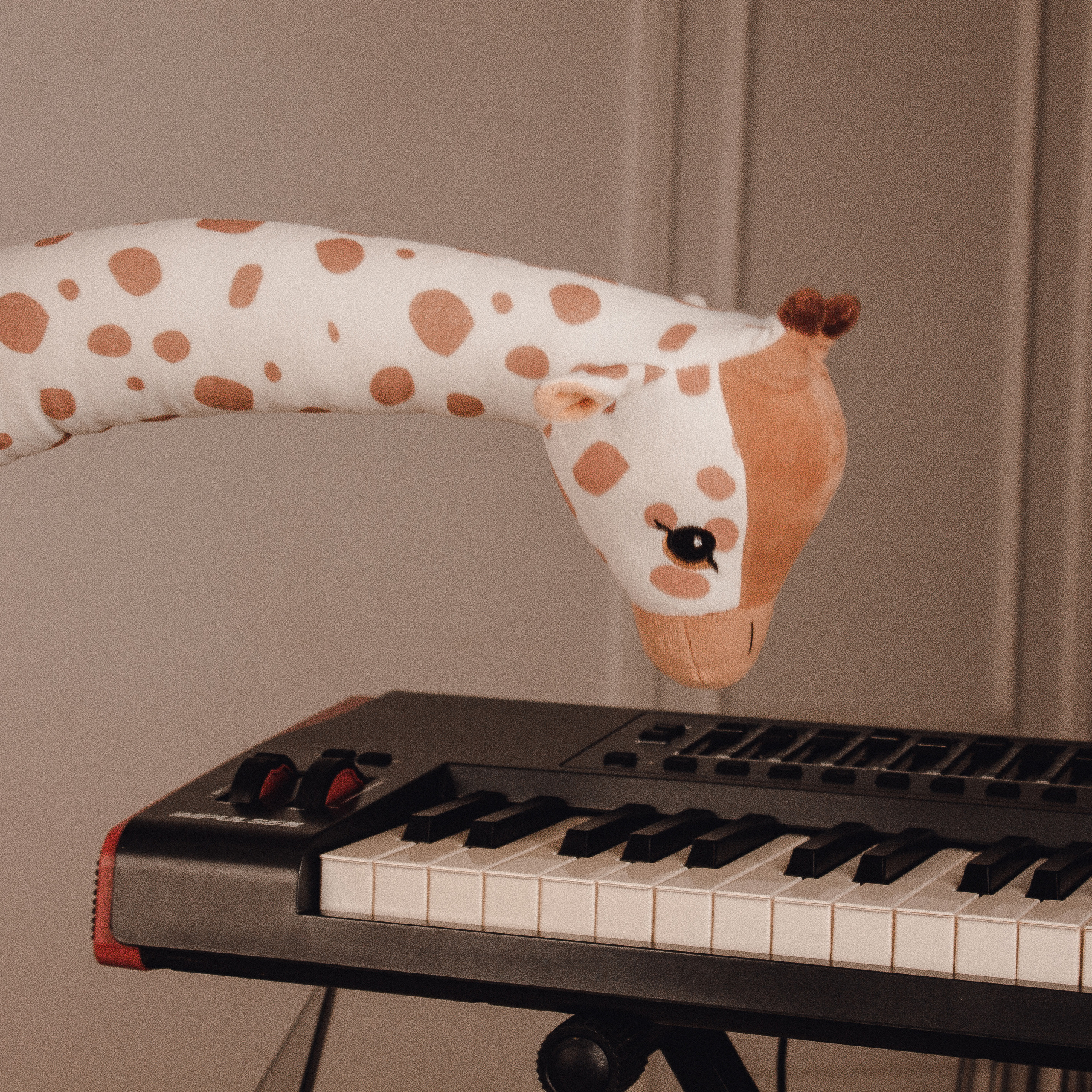 Roman (musician). Wedding and portrait photographer in Beograd Ekaterina Makedonskaya