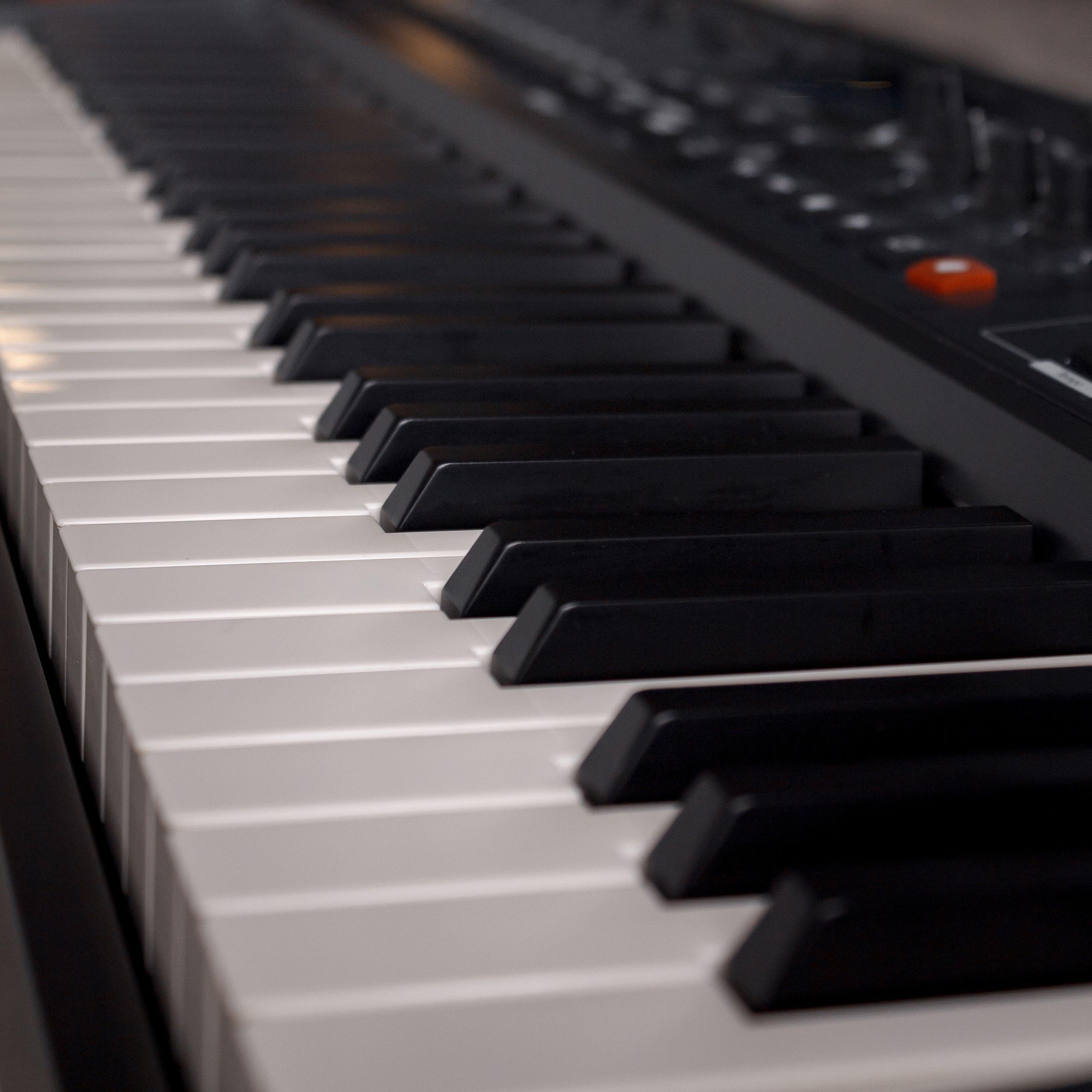 Roman (musician). Wedding and portrait photographer in Beograd Ekaterina Makedonskaya