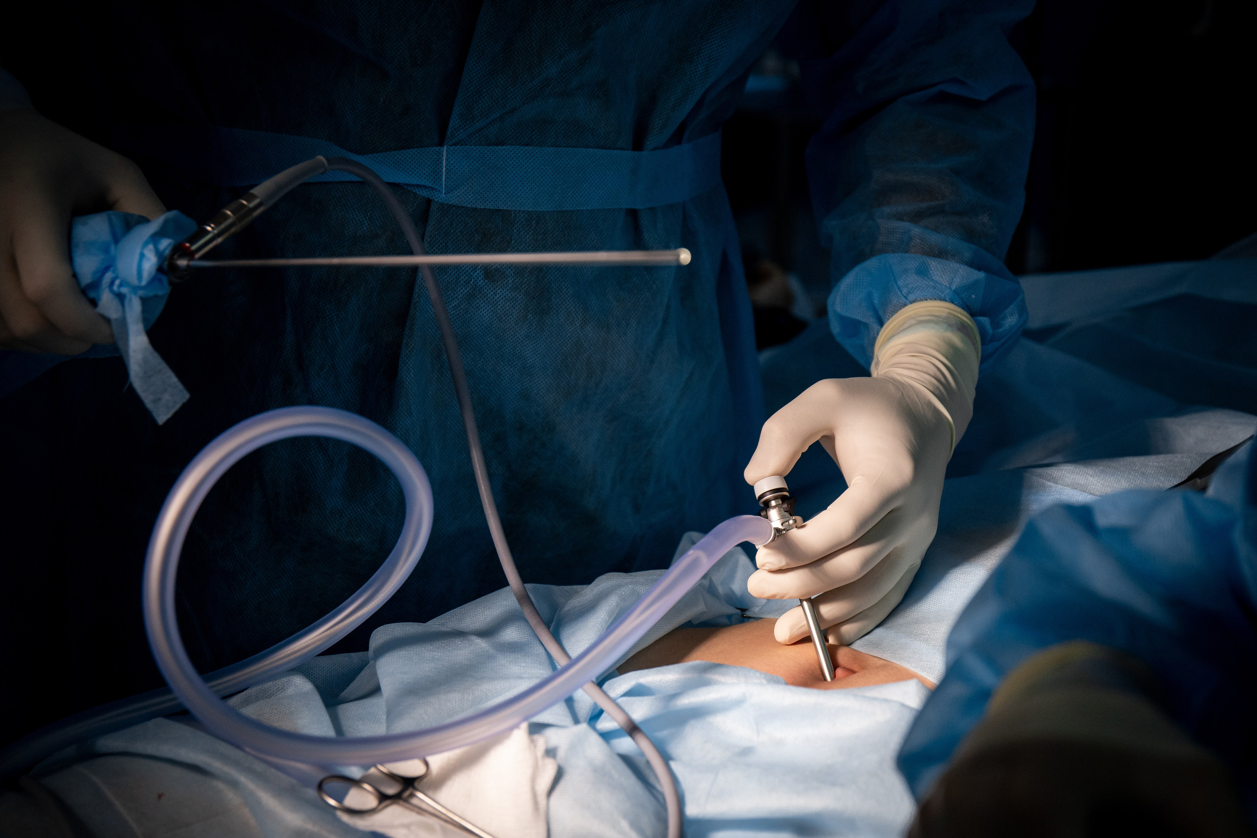 Business. Portrait and family photographer in Fort Collins Dania Gaisina