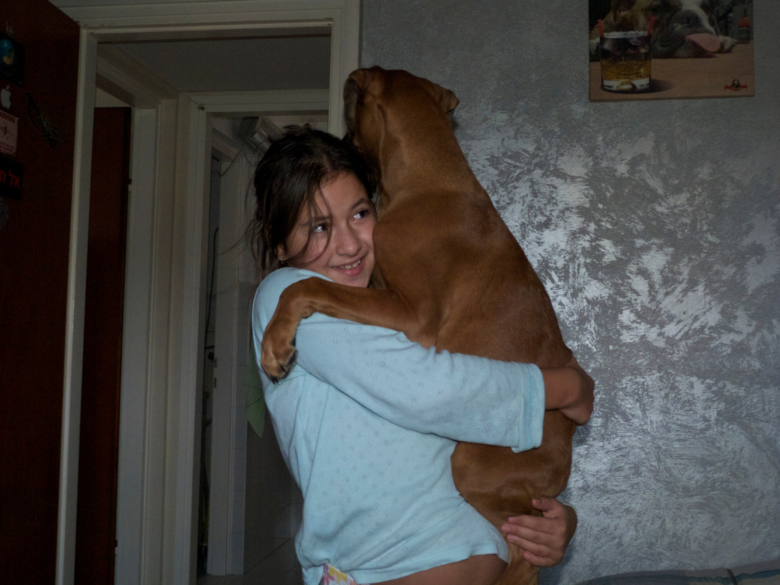 My ״Star״ Boxer Dog