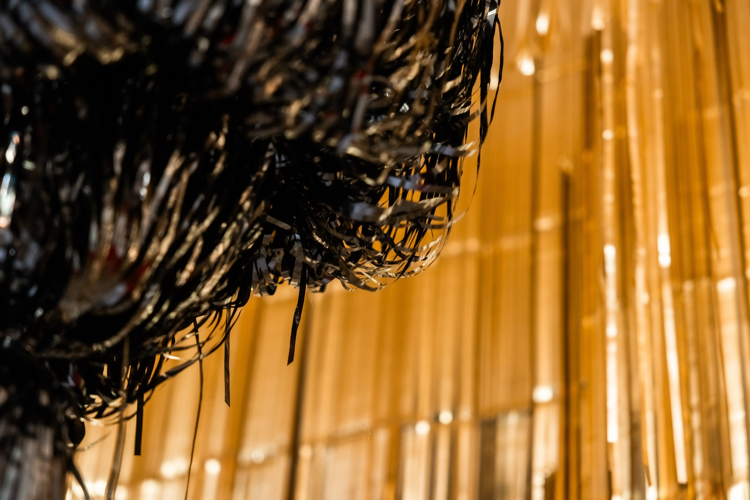 Коледа 2023-24. Фотограф Ирина Йотова