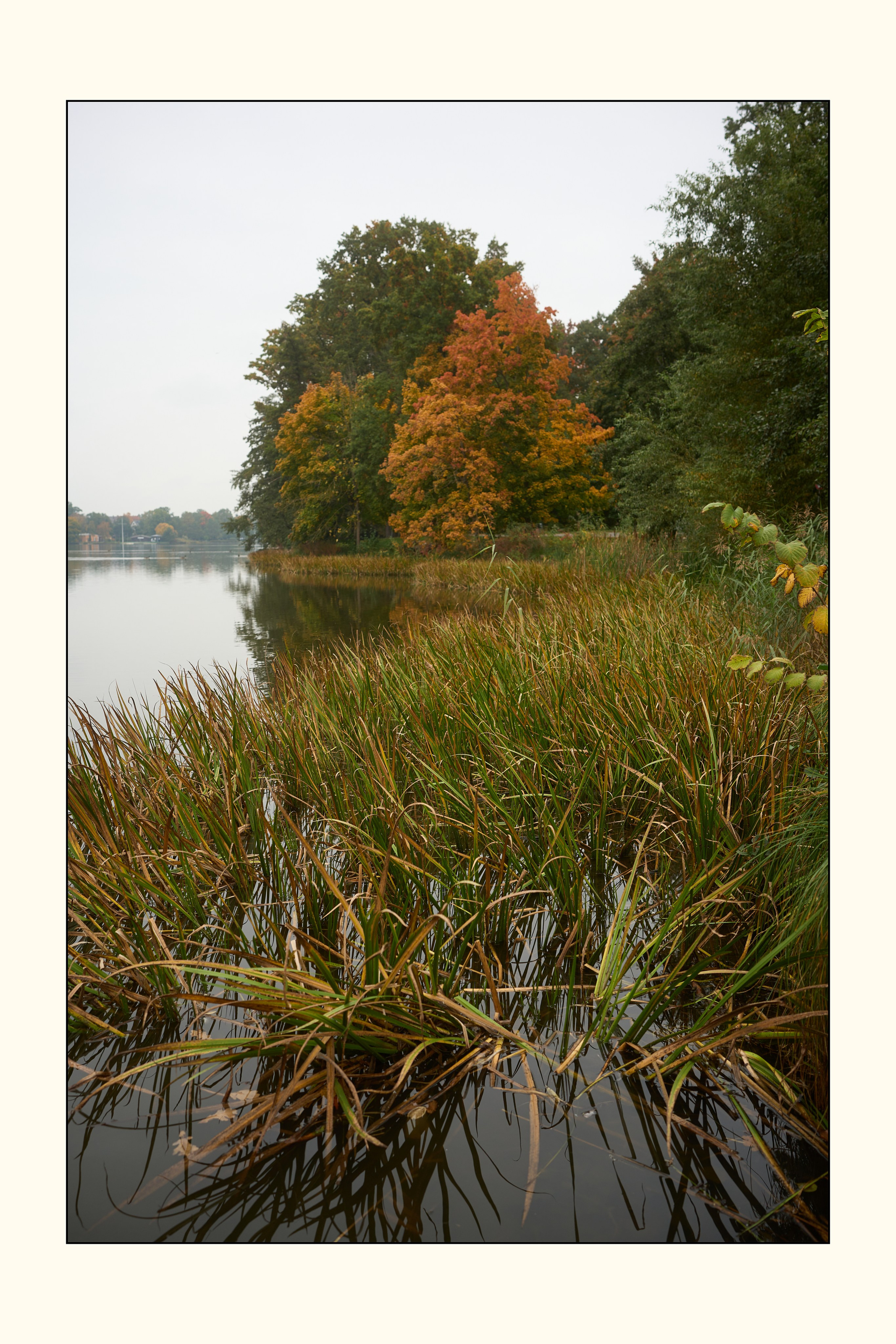 Herbst. Dutzenzeich, Nürnberg 2025