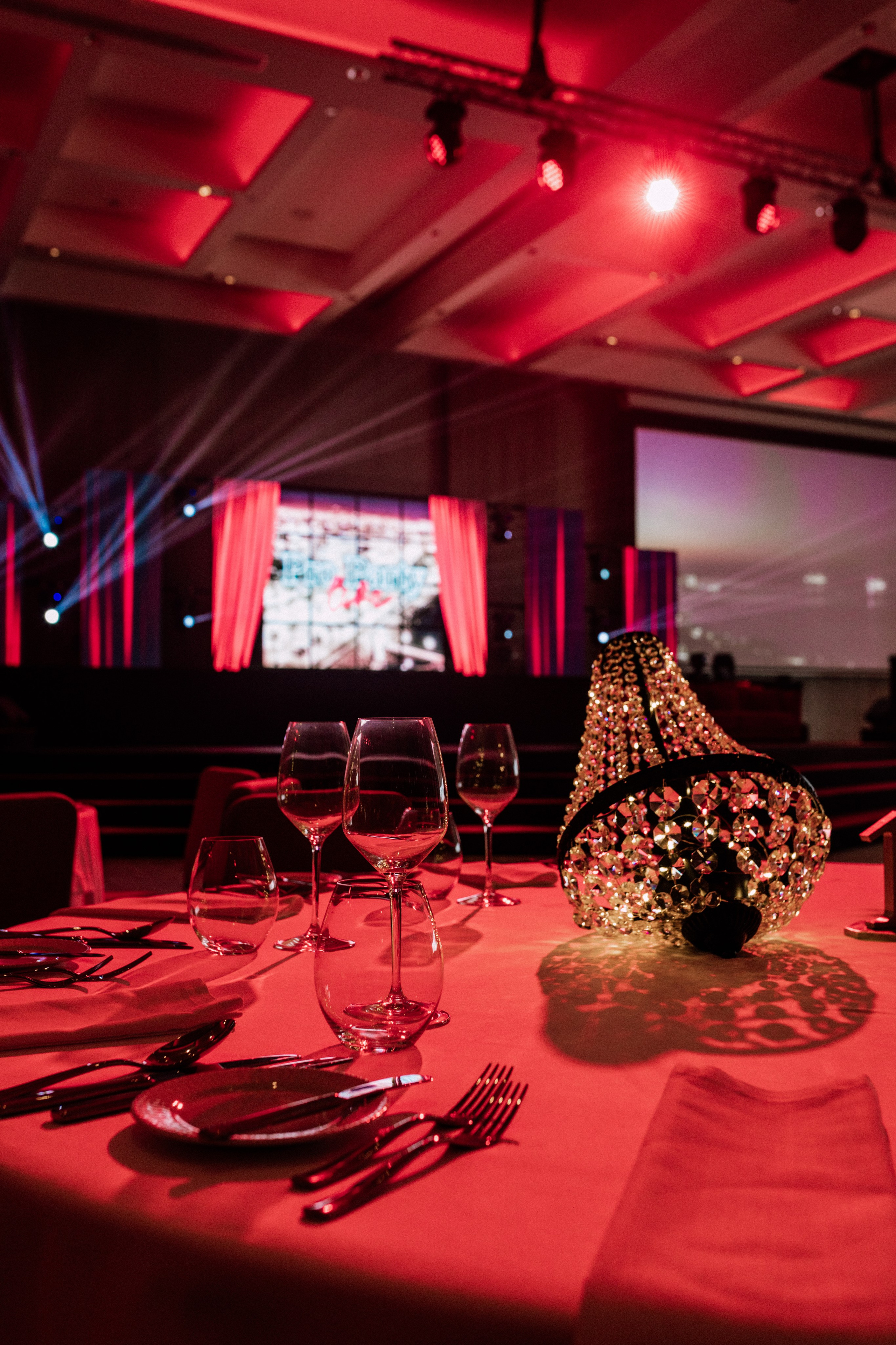 Evening/Indoor Events. Photographer Alina Sparrow