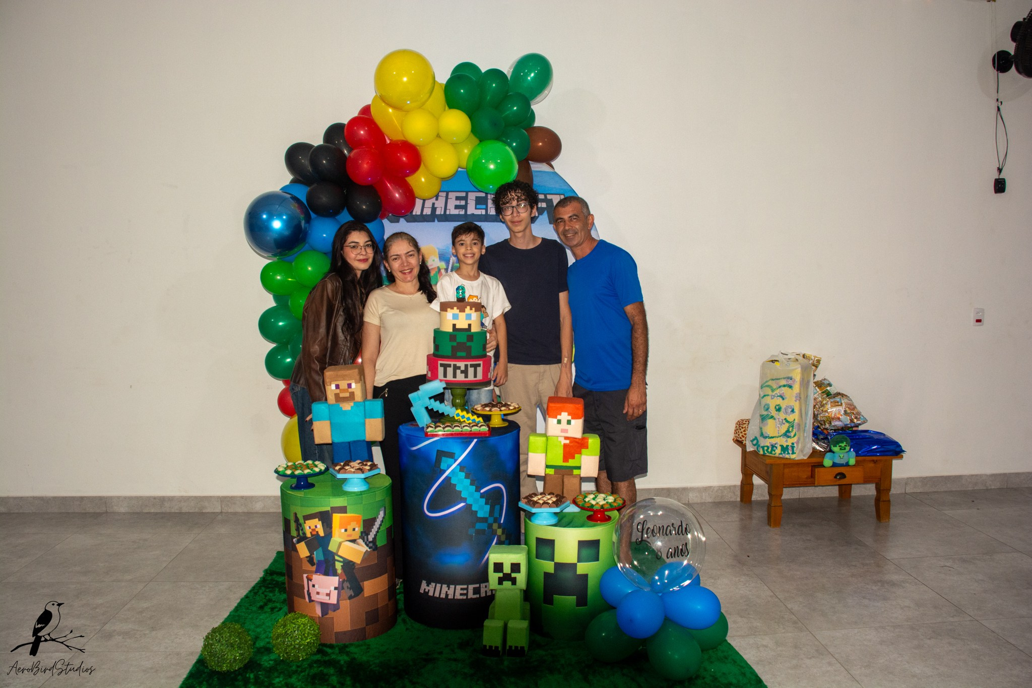 Leonardo 8 ano. AerobirdStudios