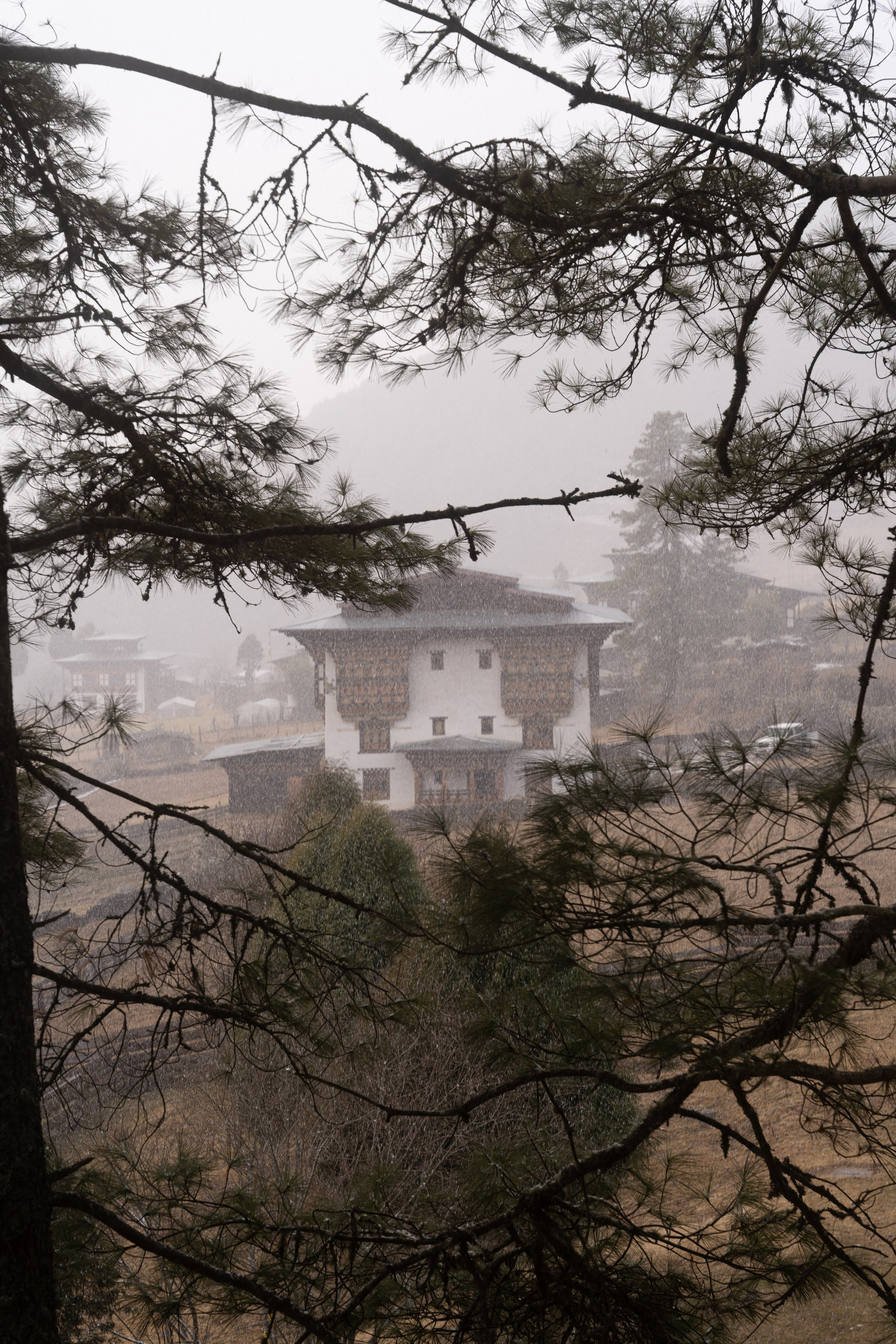 Amankora Gangtey, Bhutan. Editorial photographer Yuliya Drazdovich