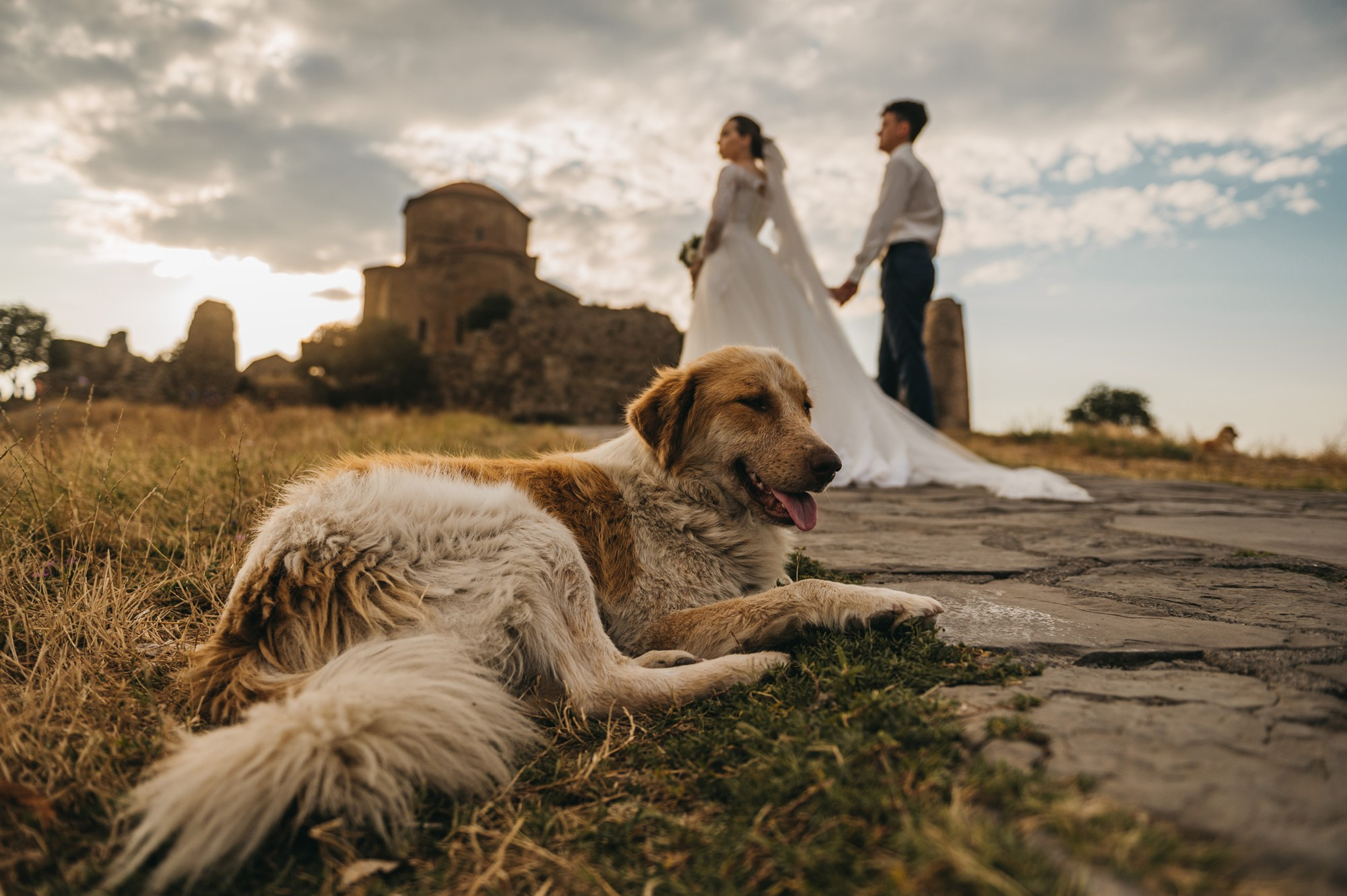 Фотограф в Грузии Батуми Миндия Думбадзе  -  Photographer in Georgia B