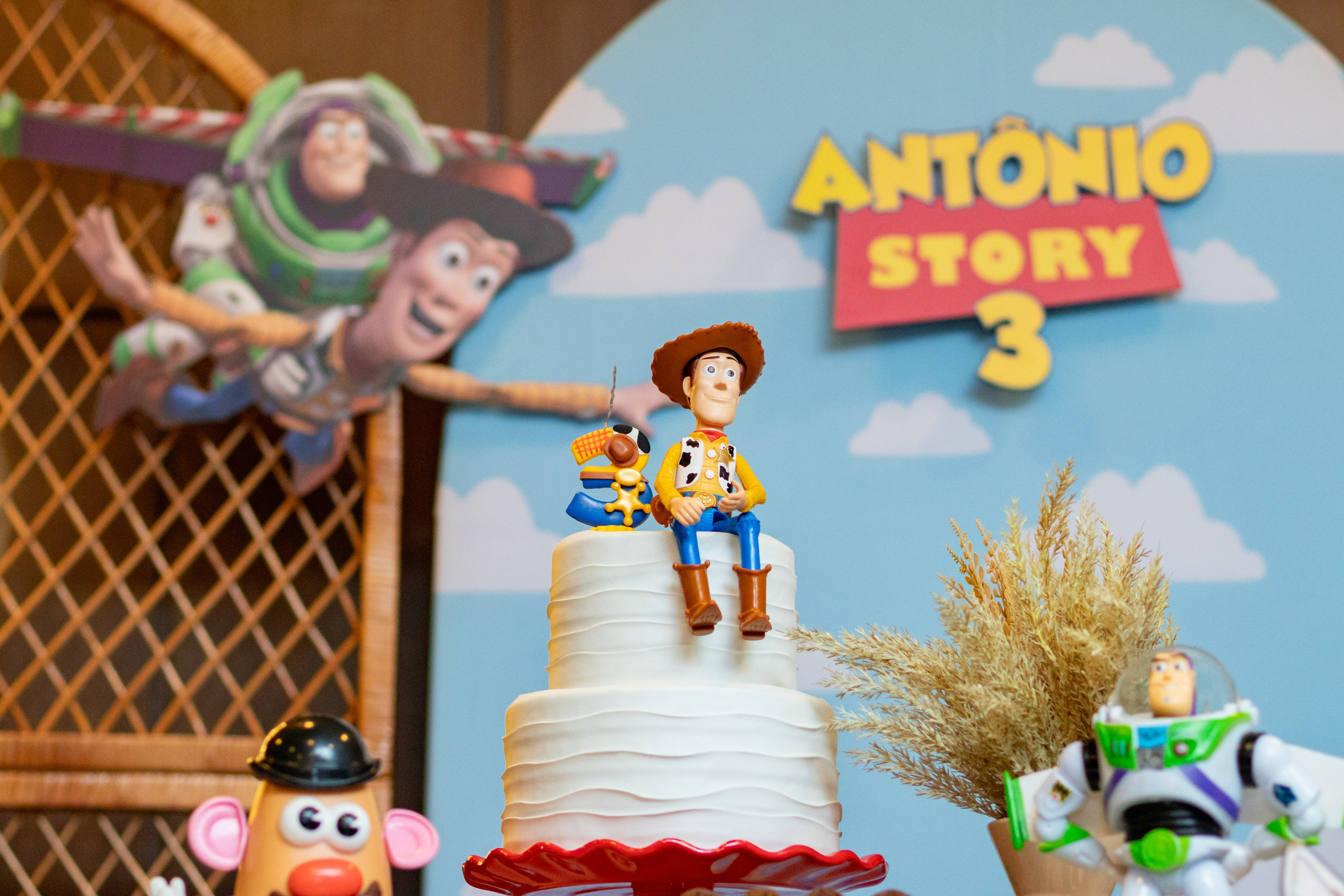 Antônio — Aniversário 3 anos. Principal